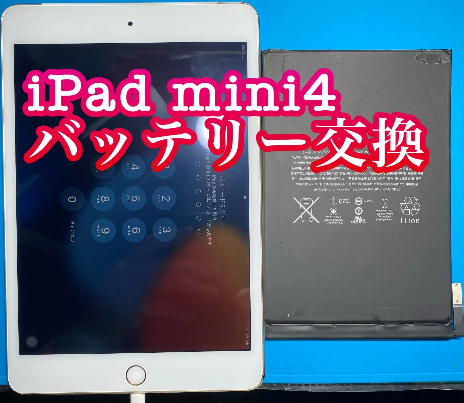 iPhone・iPad修理フォンドクターグループ　宮崎店、名古屋駅前店、愛知知立店、魚津店、敦賀店、大阪門真店、岐阜土岐店