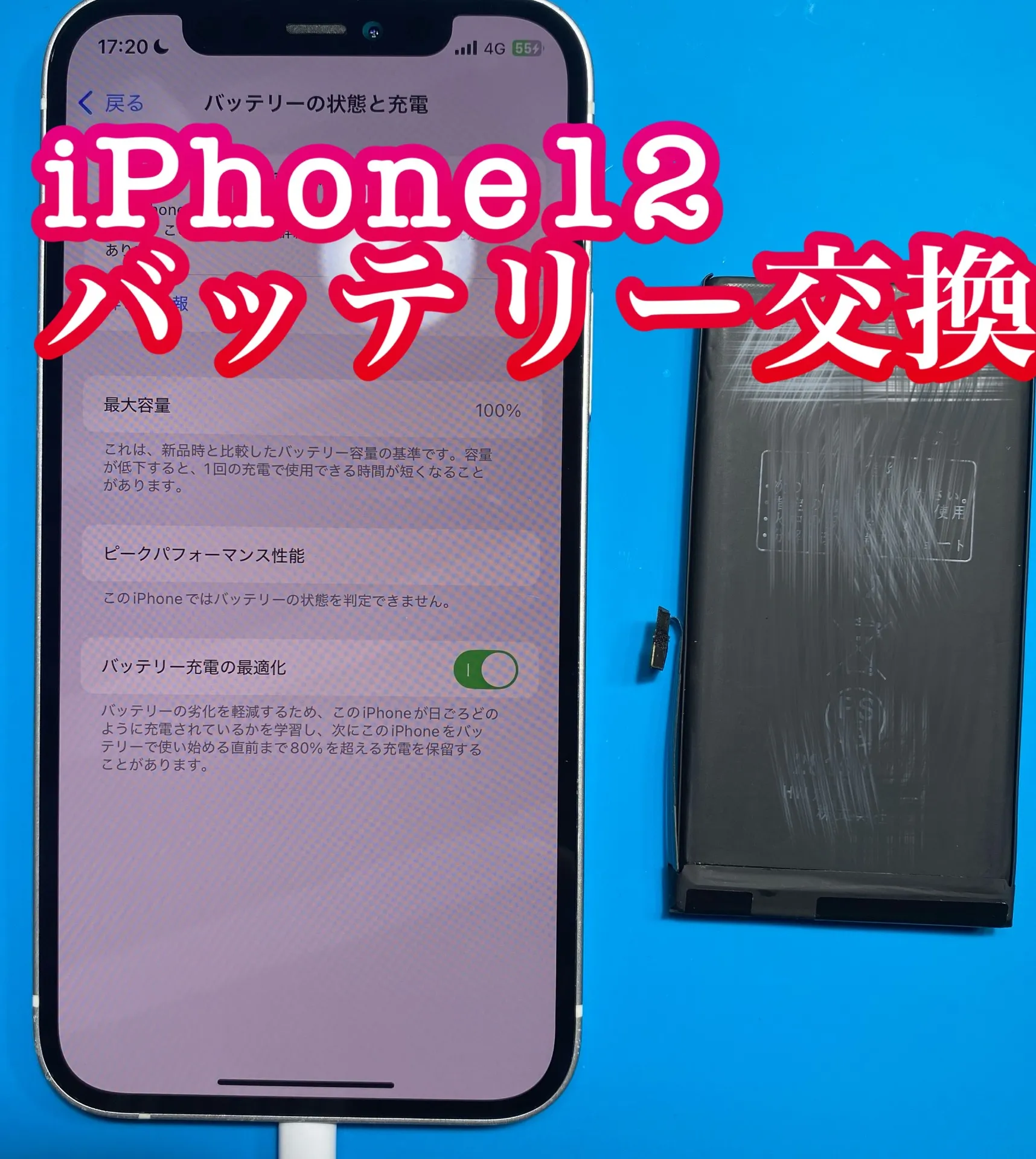 フォンドクターグループ　宮崎店、名古屋駅前店、愛知知立店、魚津店、敦賀店、大阪門真店、岐阜土岐店