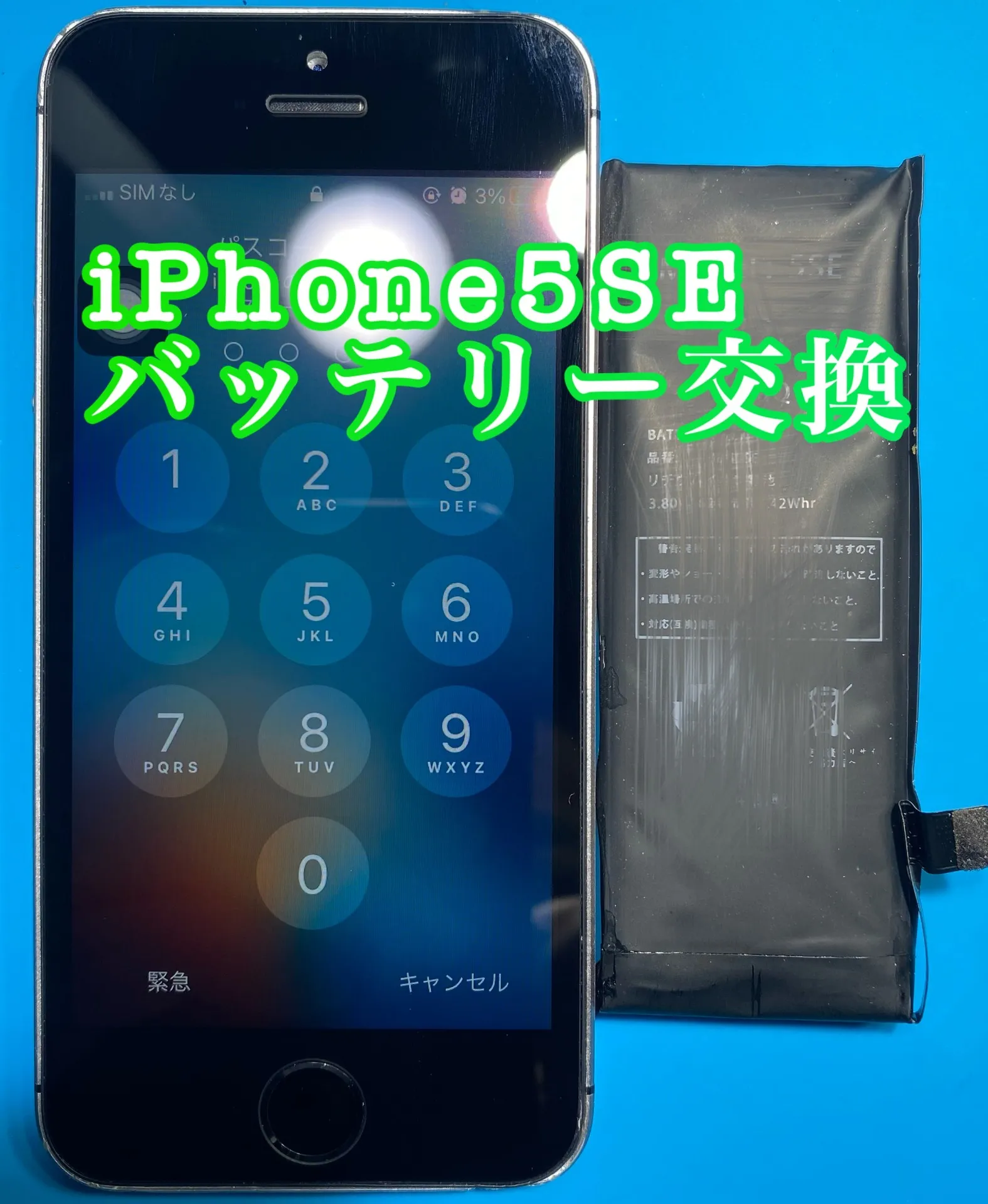 フォンドクターグループ　宮崎店、名古屋駅前店、愛知知立店、魚津店、敦賀店、大阪門真店、岐阜土岐店