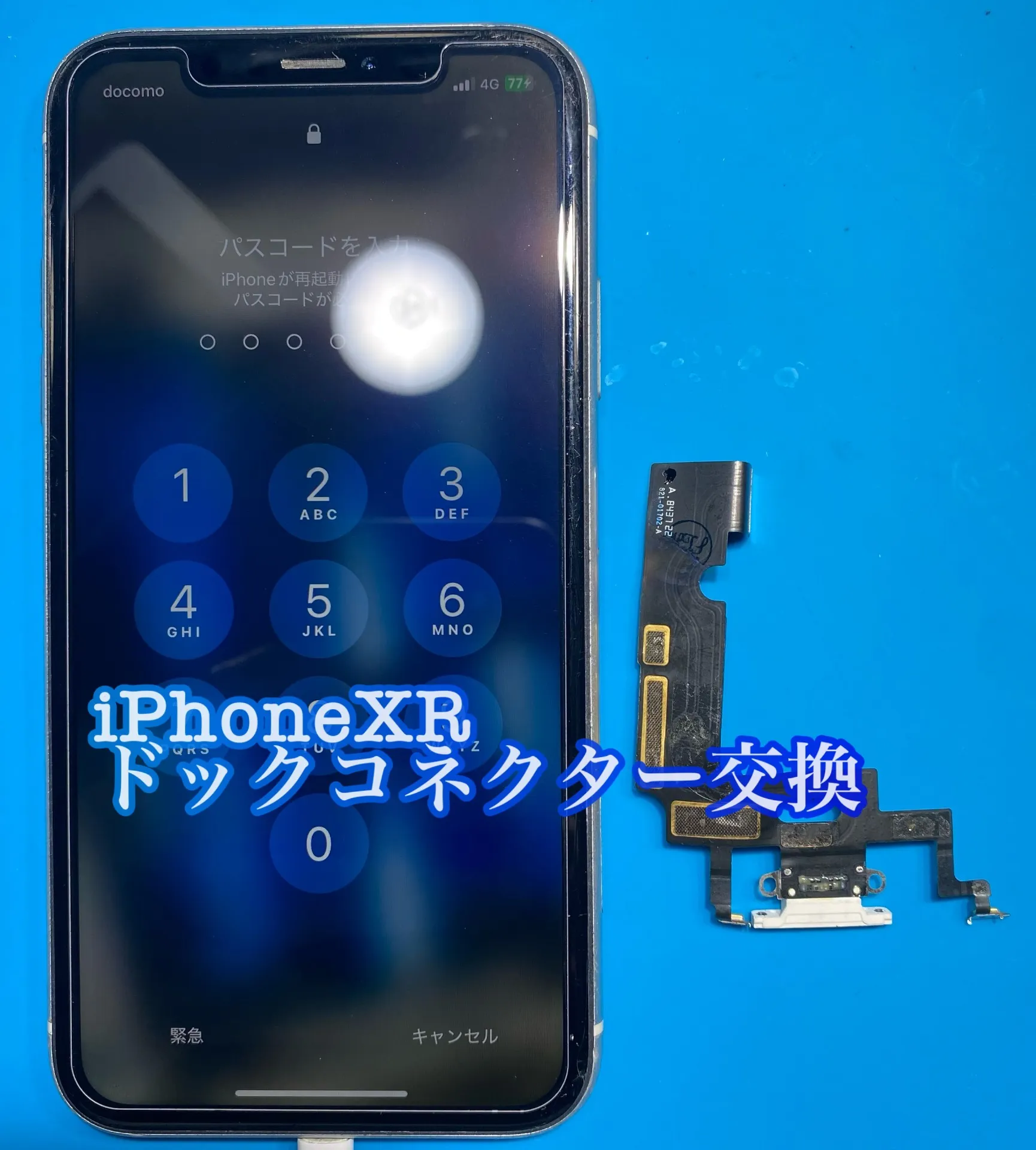 iPhone・iPad修理フォンドクターグループ　宮崎店、名古屋駅前店、愛知知立店、魚津店、敦賀店、大阪門真店、岐阜土岐店