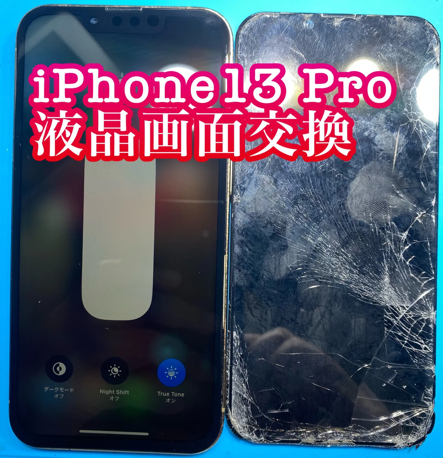 フォンドクターグループ　宮崎店、名古屋駅前店、愛知知立店、魚津店、敦賀店、大阪門真店、岐阜土岐店