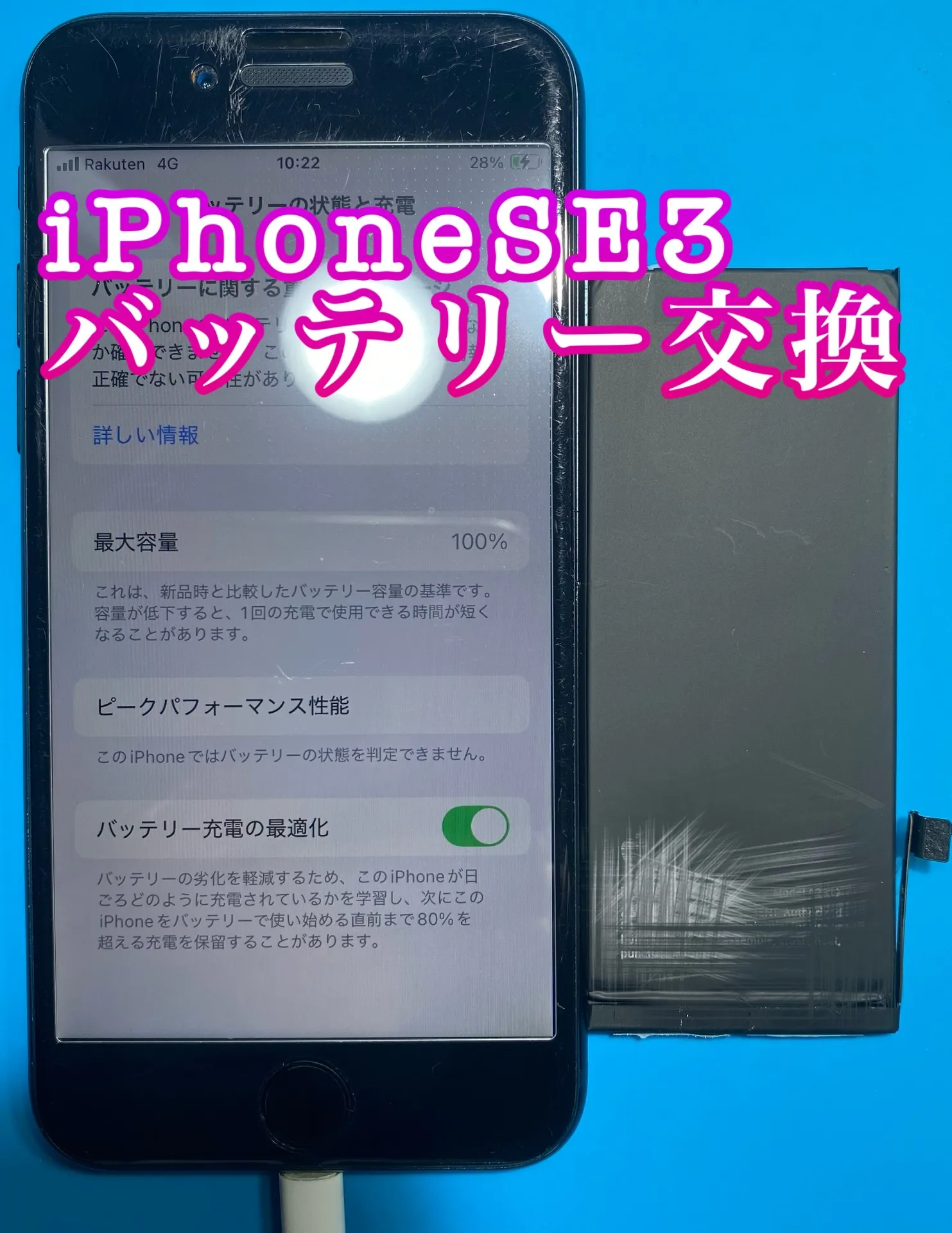 フォンドクターグループ　宮崎店、名古屋駅前店、愛知知立店、魚津店、敦賀店、大阪門真店、岐阜土岐店