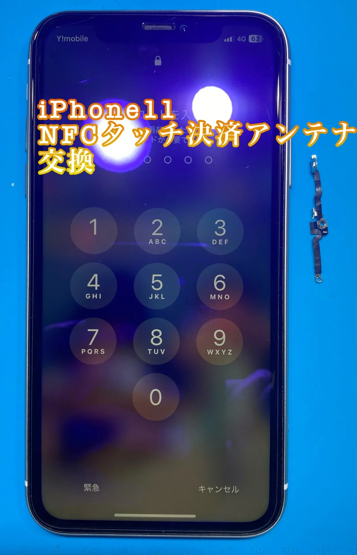 iPhone・iPad修理フォンドクターグループ　宮崎店、名古屋駅前店、愛知知立店、魚津店、敦賀店、大阪門真店、岐阜土岐店