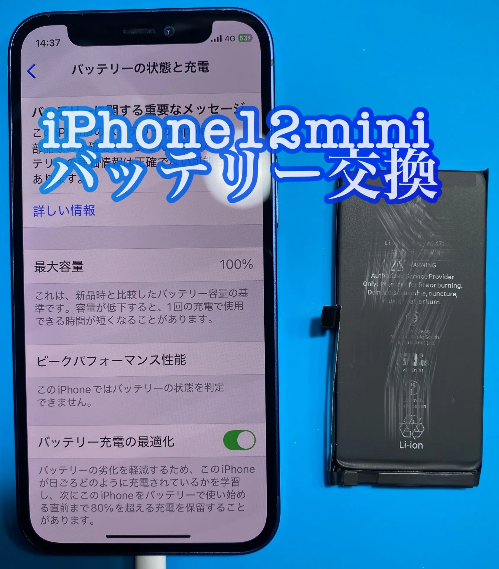 フォンドクターグループ　宮崎店、名古屋駅前店、愛知知立店、魚津店、敦賀店、大阪門真店、岐阜土岐店