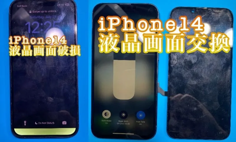 フォンドクターグループ　宮崎店、名古屋駅前店、愛知知立店、魚津店、敦賀店、大阪門真店、岐阜土岐店