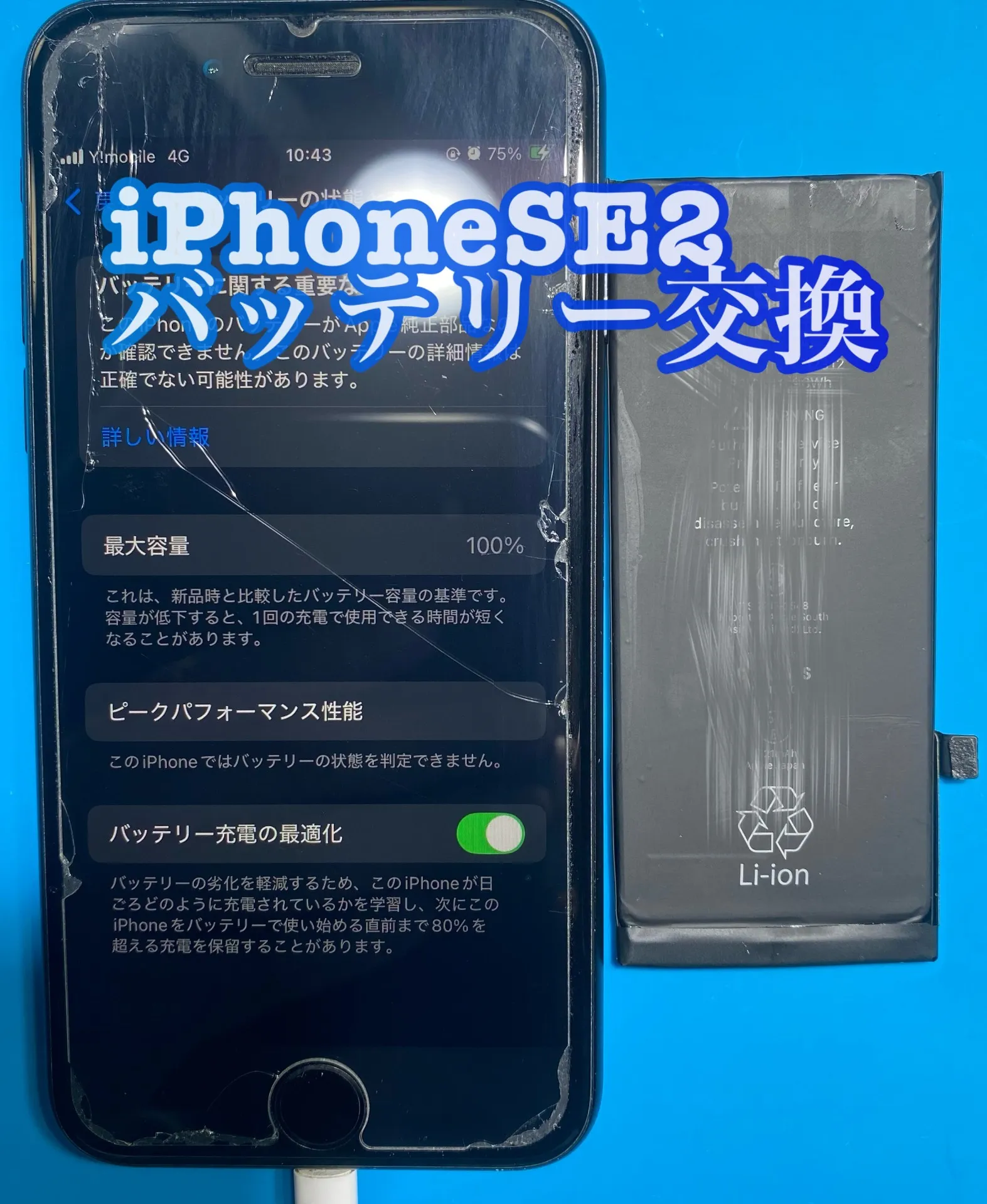 フォンドクターグループ　宮崎店、名古屋駅前店、愛知知立店、魚津店、敦賀店、大阪門真店、岐阜土岐店