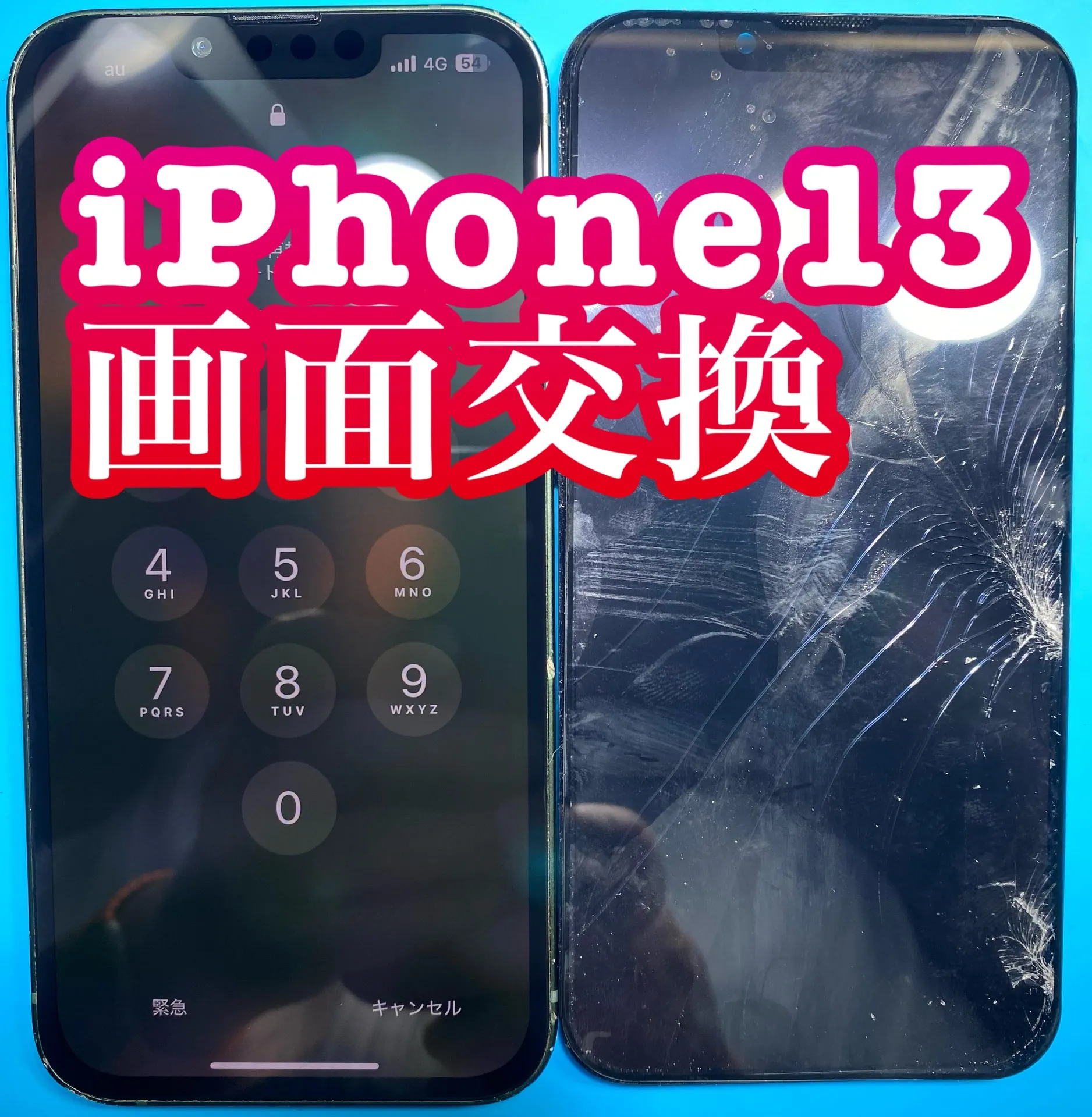 フォンドクターグループ　宮崎店、名古屋駅前店、愛知知立店、魚津店、敦賀店、大阪門真店、岐阜土岐店