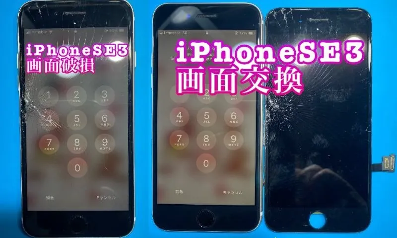 フォンドクターグループ　宮崎店、名古屋駅前店、愛知知立店、魚津店、敦賀店、大阪門真店、岐阜土岐店