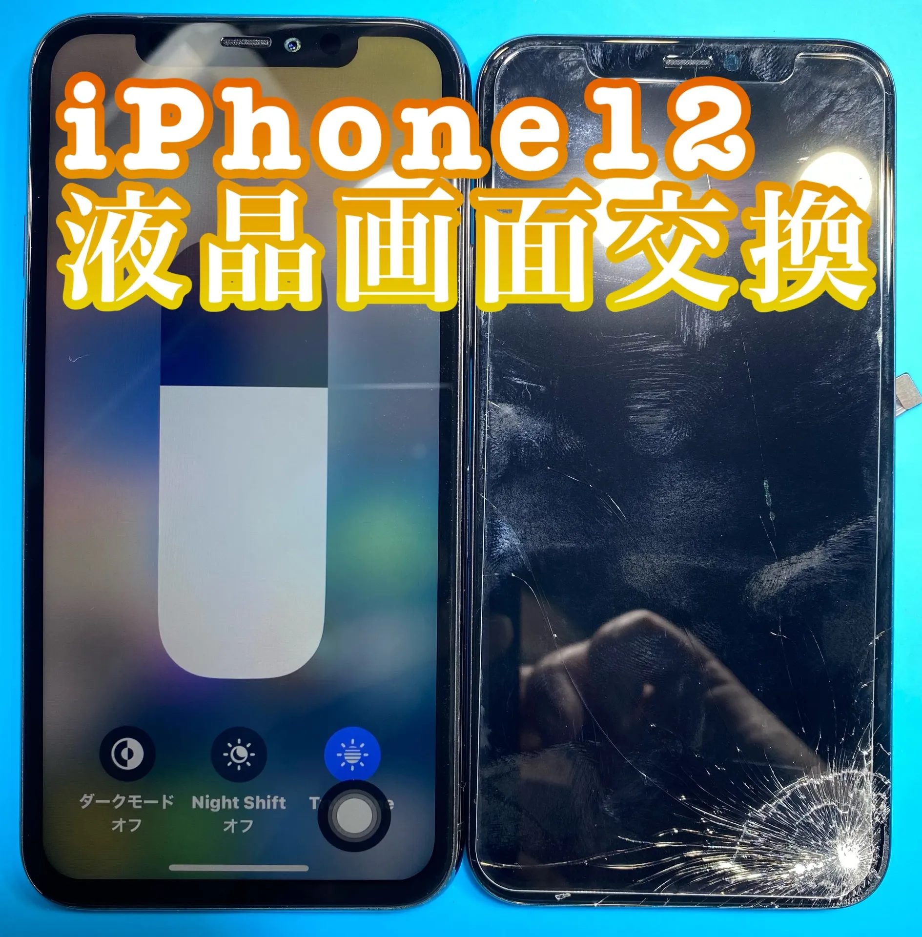 フォンドクターグループ　宮崎店、名古屋駅前店、愛知知立店、魚津店、敦賀店、大阪門真店、岐阜土岐店