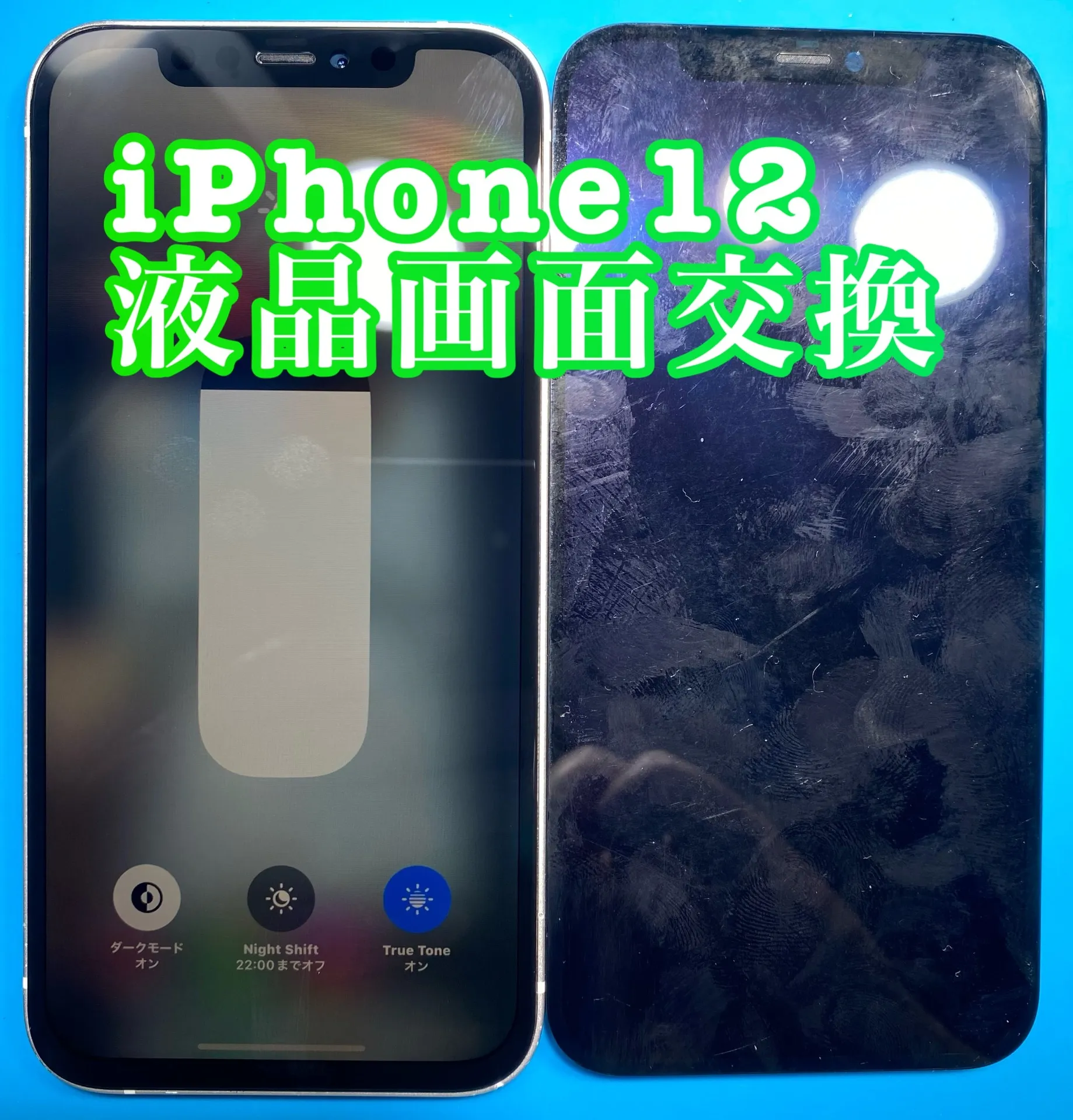 フォンドクターグループ　宮崎店、名古屋駅前店、愛知知立店、魚津店、敦賀店、大阪門真店、岐阜土岐店