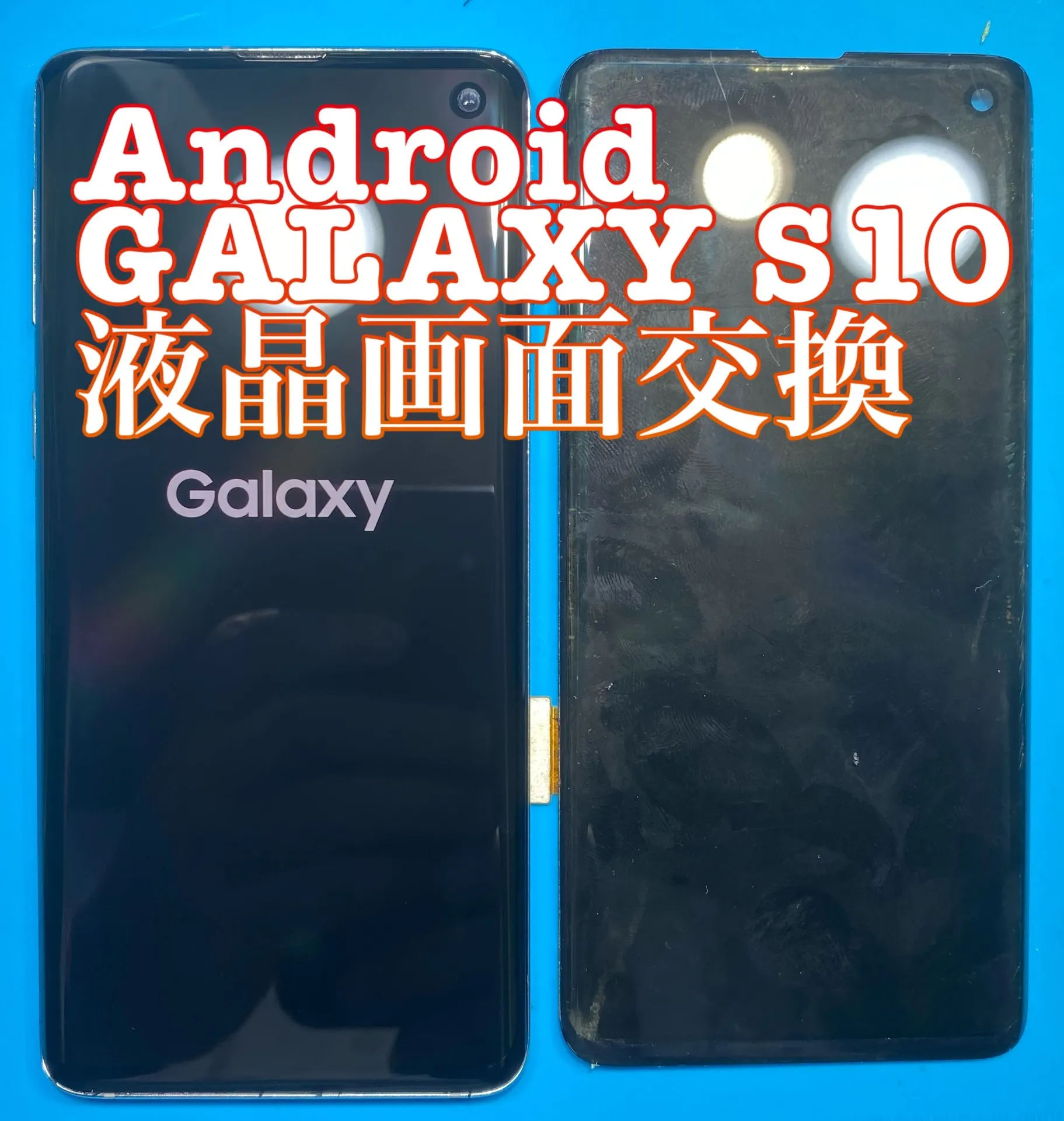 フォンドクターグループ　宮崎店、名古屋駅前店、愛知知立店、魚津店、敦賀店、大阪門真店、岐阜土岐店