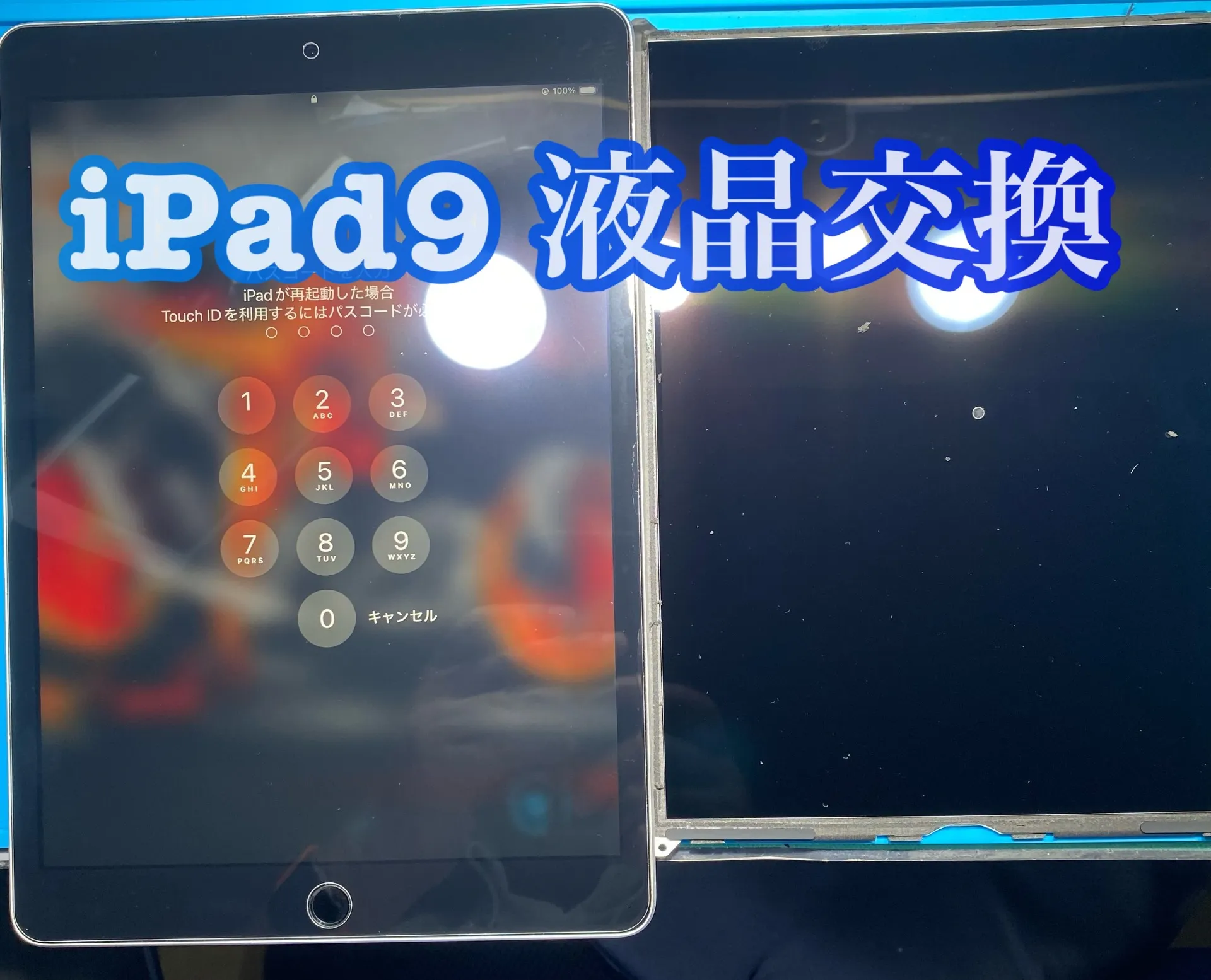 iPhone・iPad修理フォンドクターグループ　宮崎店、名古屋駅前店、愛知知立店、魚津店、敦賀店、大阪門真店、岐阜土岐店