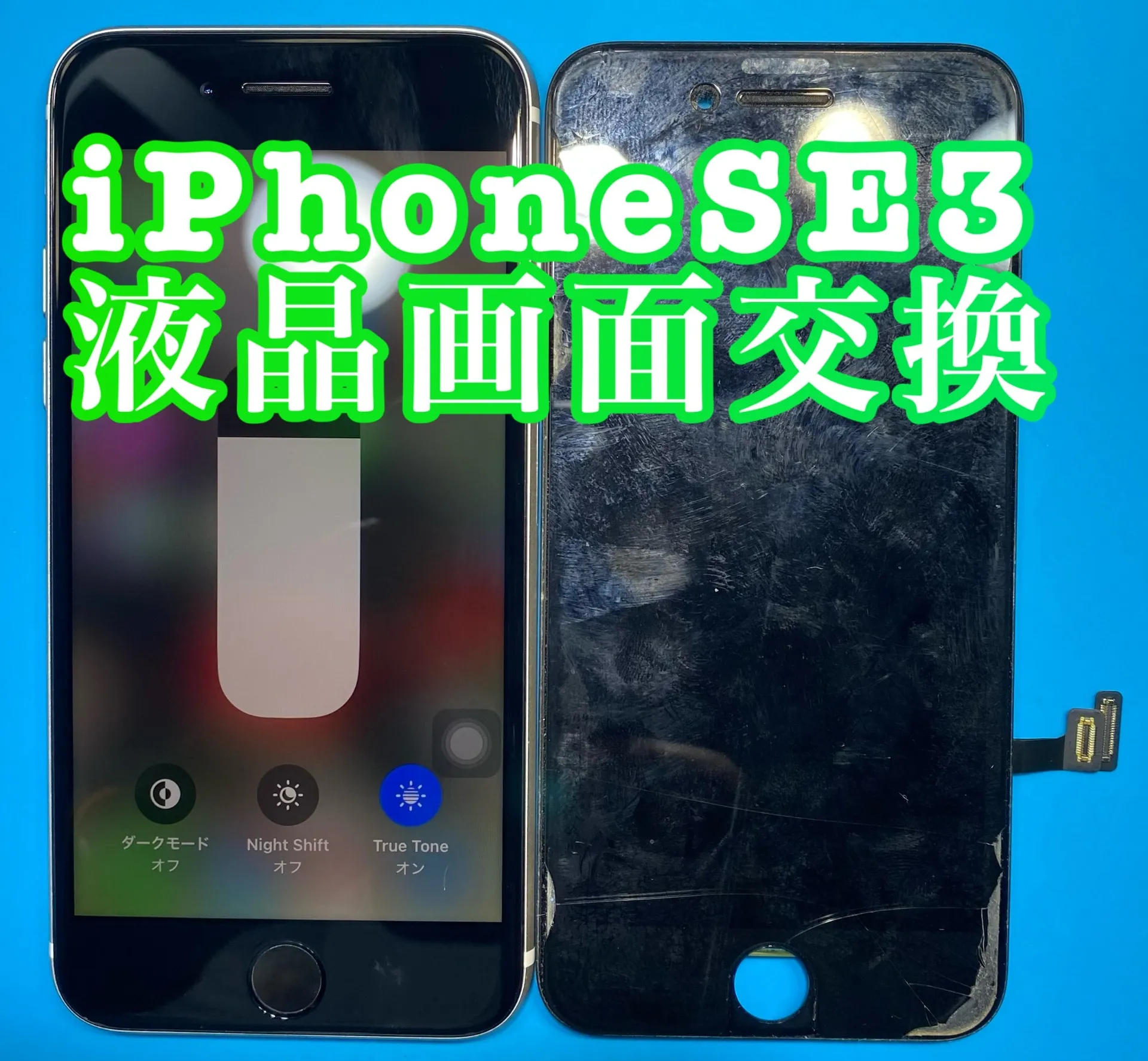 フォンドクターグループ　宮崎店、名古屋駅前店、愛知知立店、魚津店、敦賀店、大阪門真店、岐阜土岐店