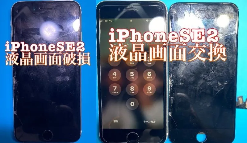 フォンドクターグループ　宮崎店、名古屋駅前店、愛知知立店、魚津店、大阪門真店、岐阜土岐店