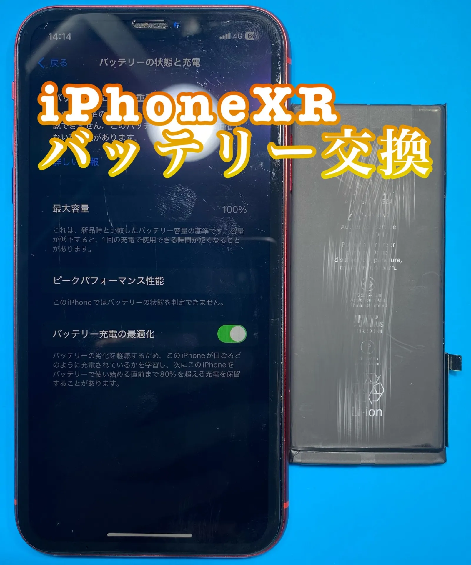 フォンドクターグループ　宮崎店、名古屋駅前店、愛知知立店、魚津店、敦賀店、大阪門真店、岐阜土岐店