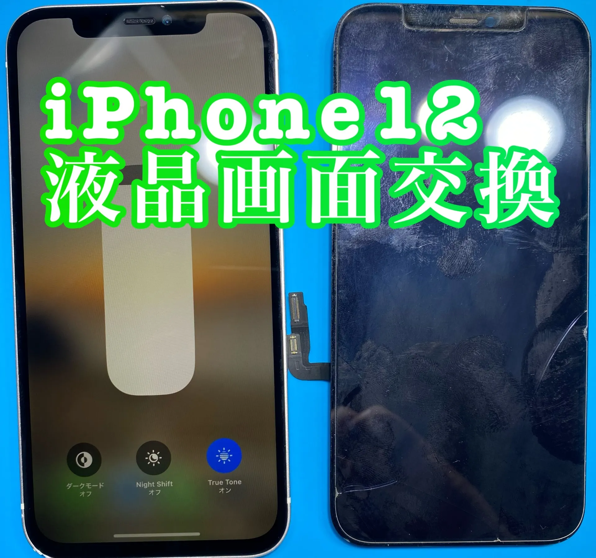 iPhone・iPad修理フォンドクターグループ　宮崎店、名古屋駅前店、愛知知立店、魚津店、敦賀店、大阪門真店、岐阜土岐店