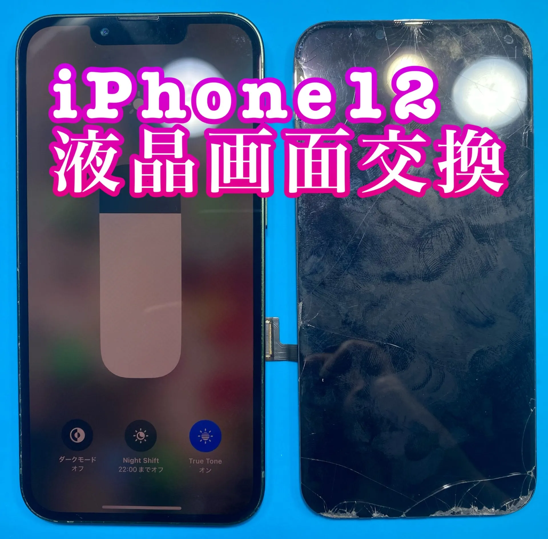 フォンドクターグループ　宮崎店、名古屋駅前店、愛知知立店、魚津店、敦賀店、大阪門真店、岐阜土岐店