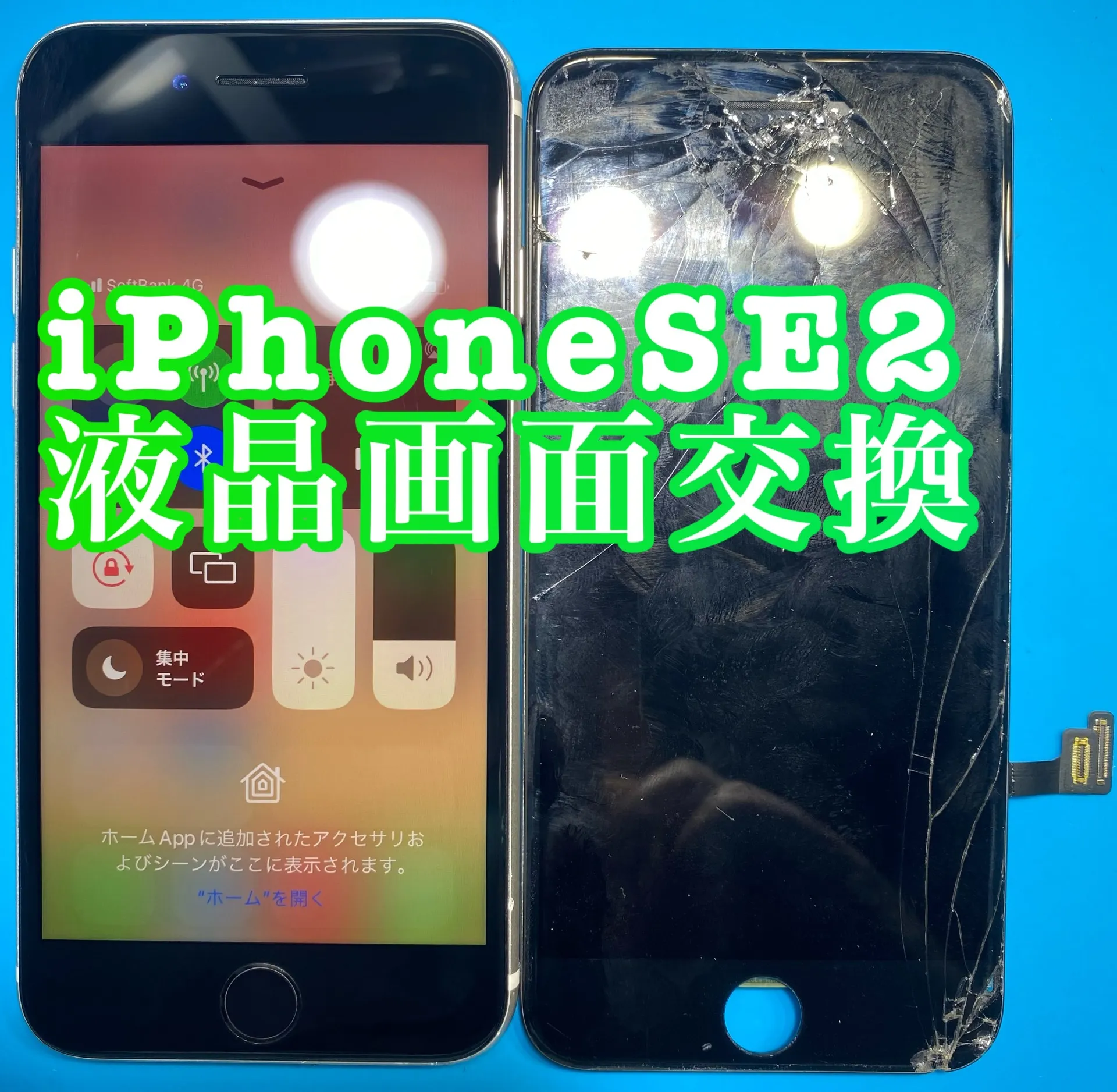 フォンドクターグループ　宮崎店、名古屋駅前店、愛知知立店、魚津店、敦賀店、大阪門真店、岐阜土岐店