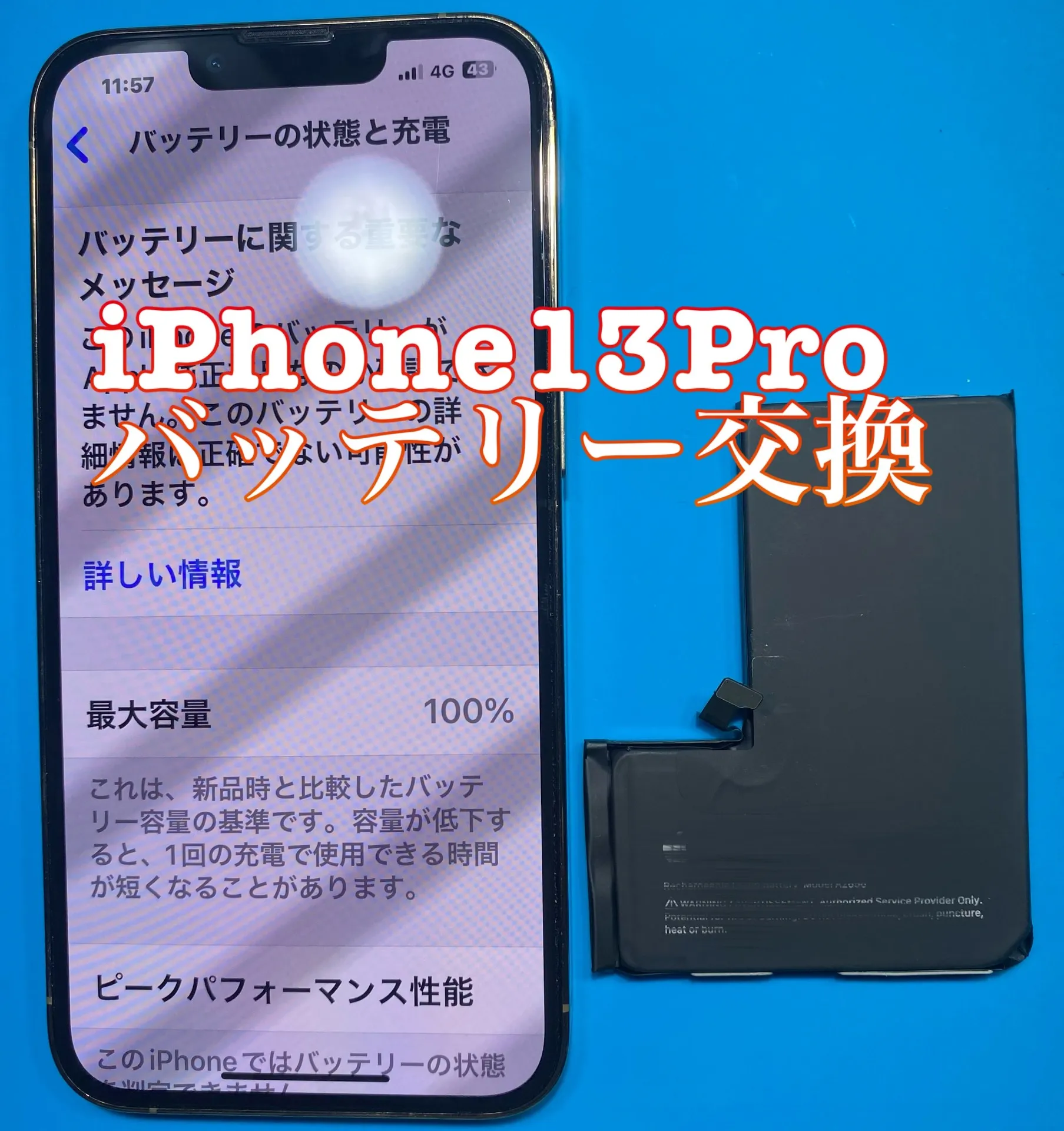 フォンドクターグループ　宮崎店、名古屋駅前店、愛知知立店、魚津店、敦賀店、大阪門真店、岐阜土岐店