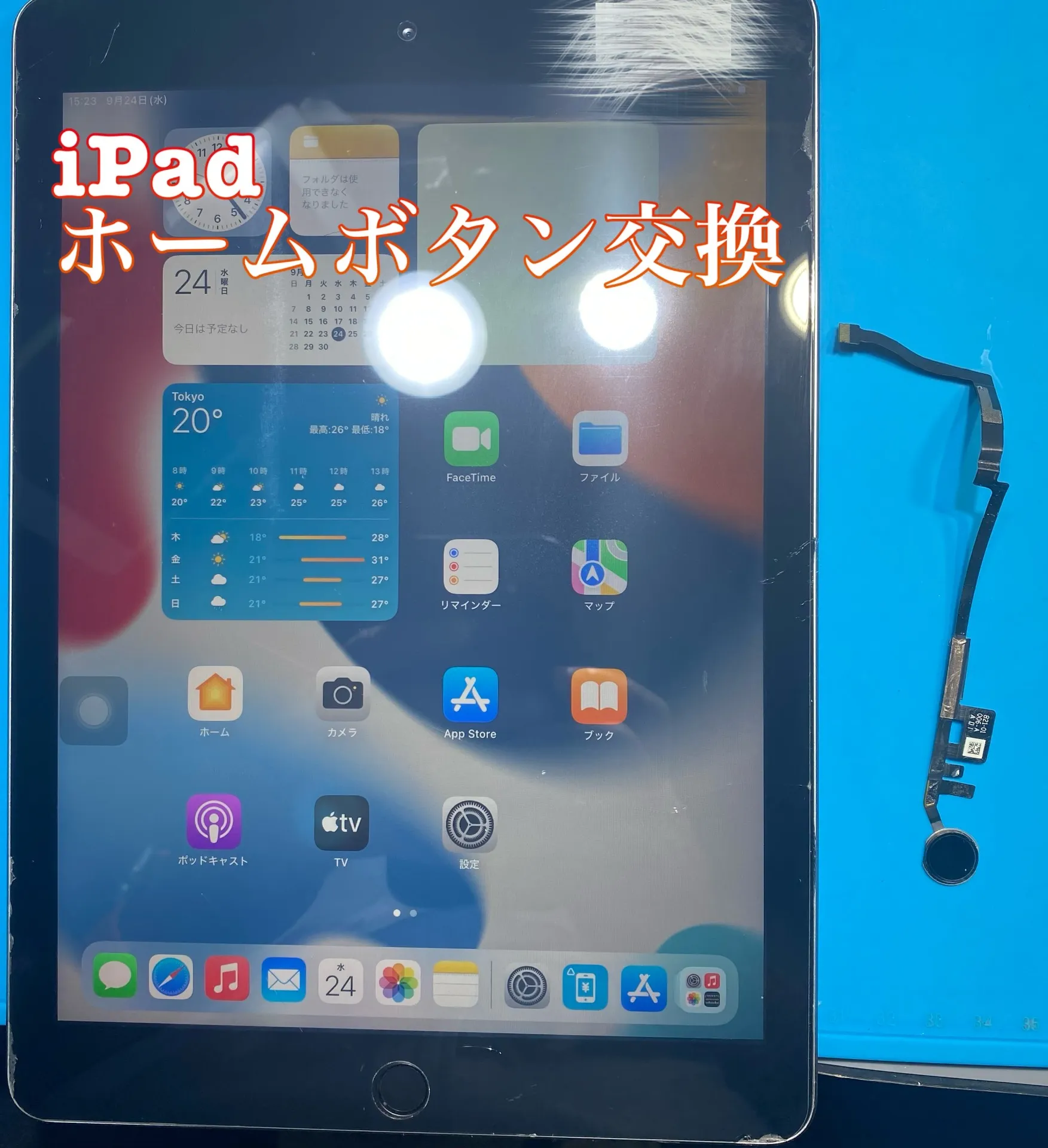 フォンドクターグループ　宮崎店、名古屋駅前店、愛知知立店、魚津店、敦賀店、大阪門真店、岐阜土岐店