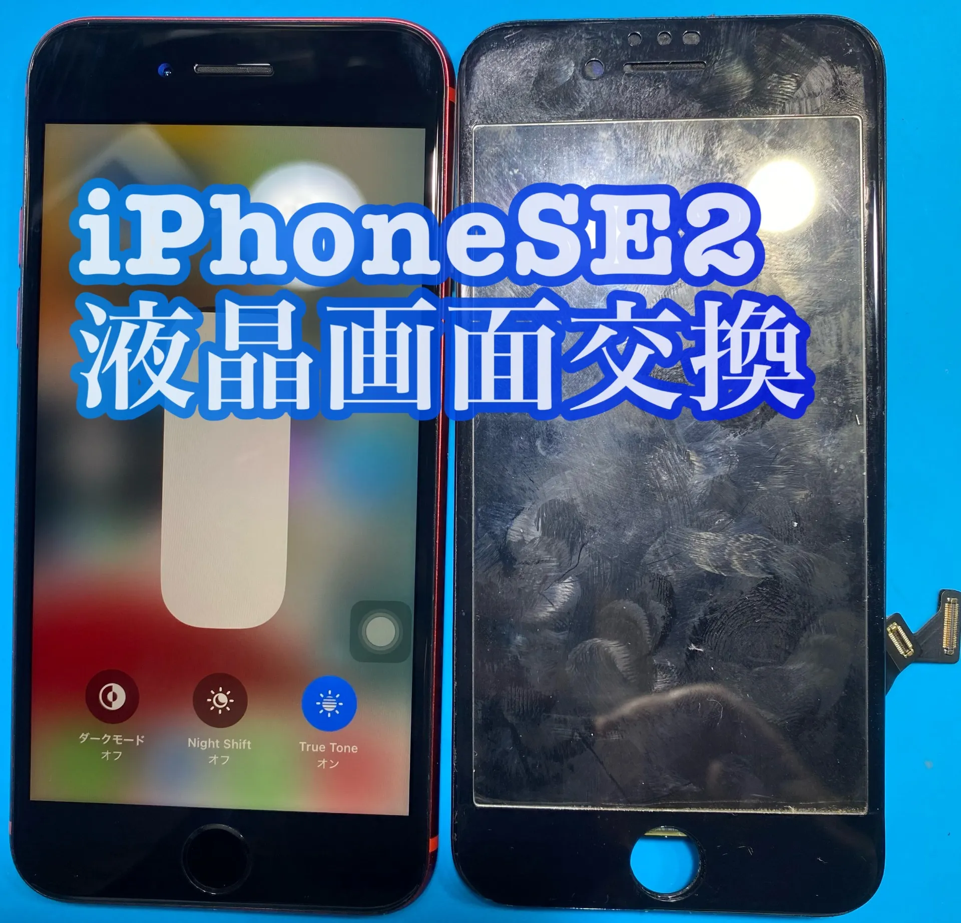 iPhone・iPad修理フォンドクターグループ　宮崎店、名古屋駅前店、愛知知立店、魚津店、敦賀店、大阪門真店、岐阜土岐店