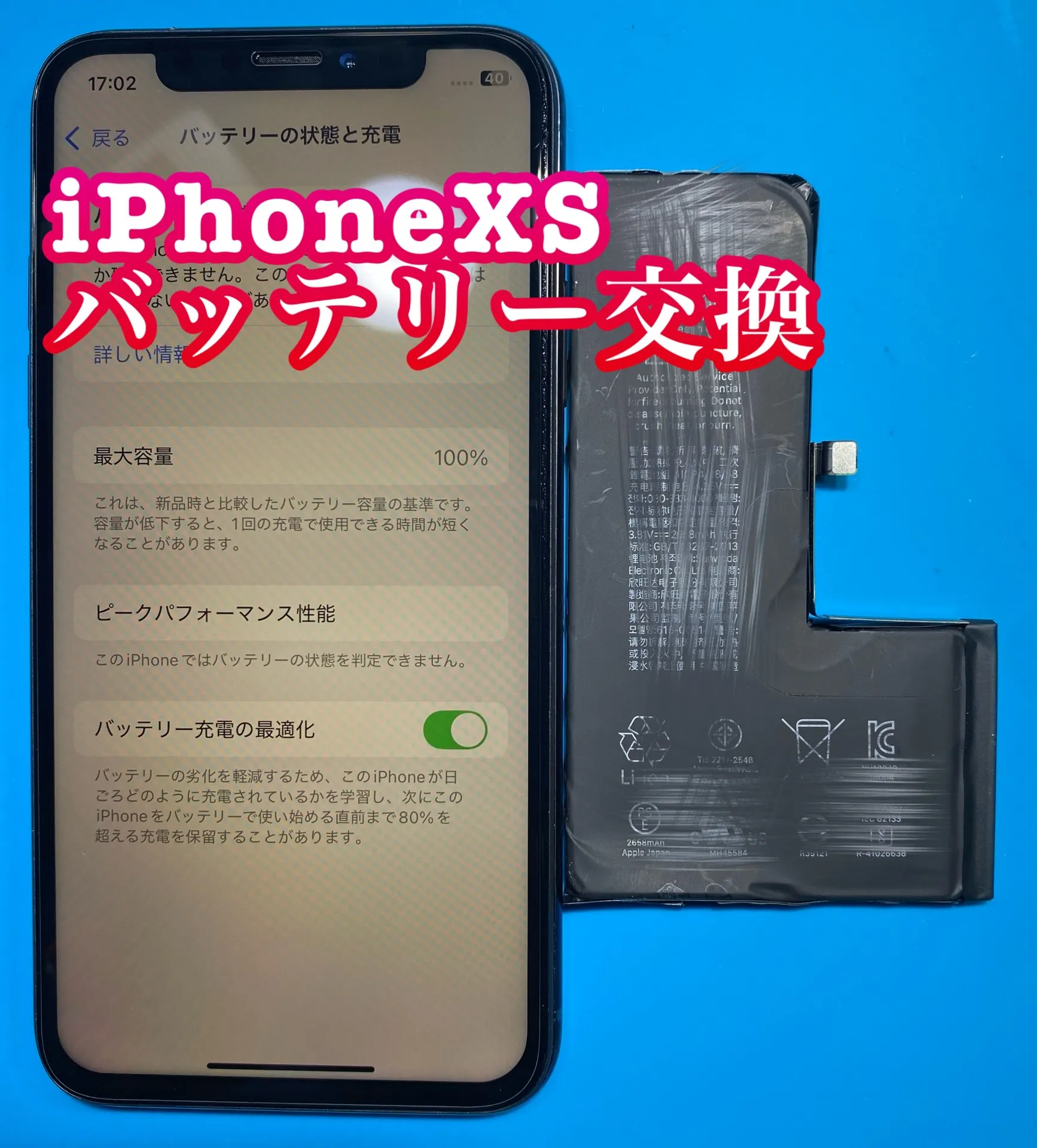 フォンドクターグループ　宮崎店、名古屋駅前店、愛知知立店、魚津店、敦賀店、大阪門真店、岐阜土岐店