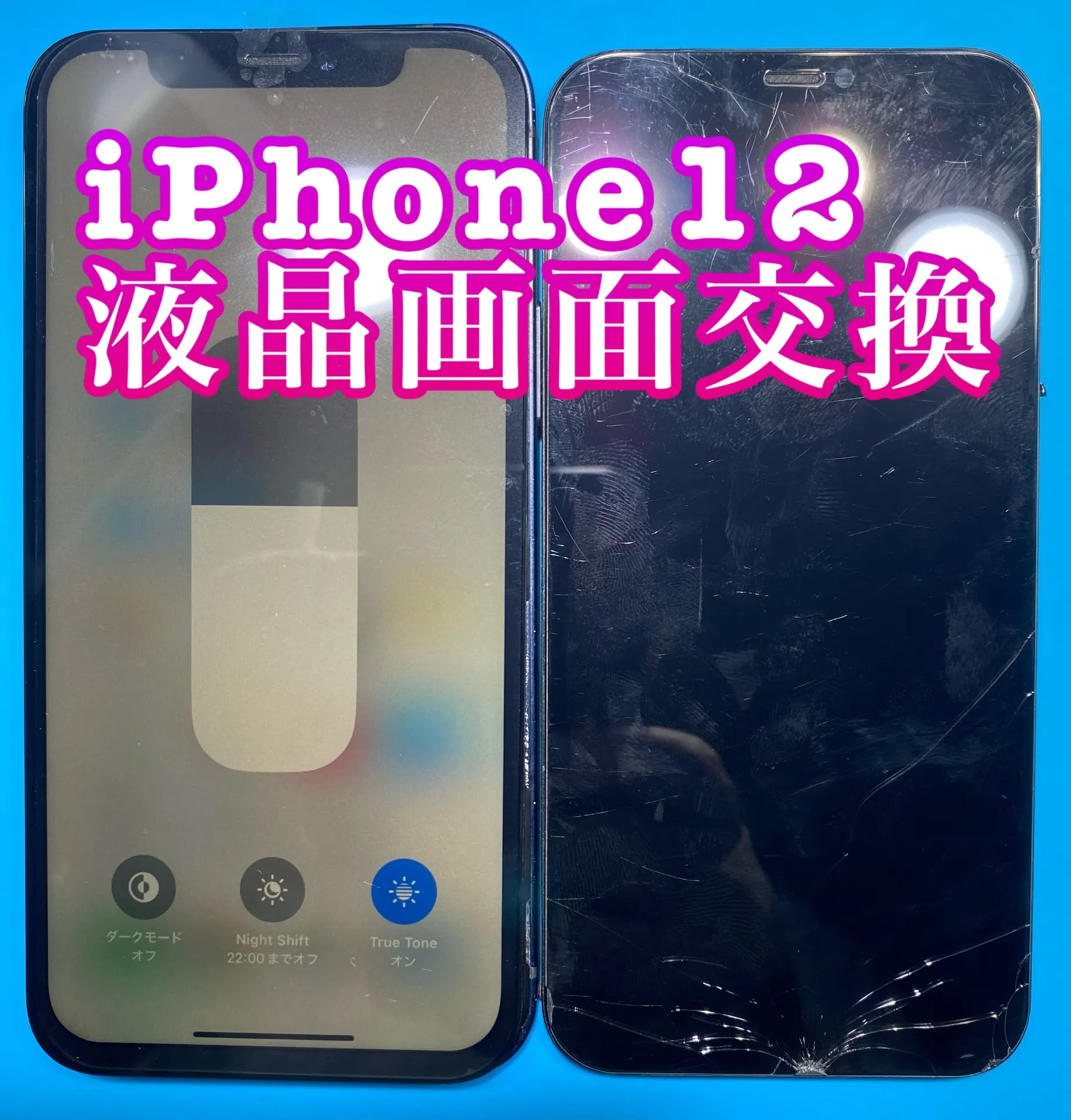 フォンドクターグループ　宮崎店、名古屋駅前店、愛知知立店、魚津店、敦賀店、大阪門真店、岐阜土岐店