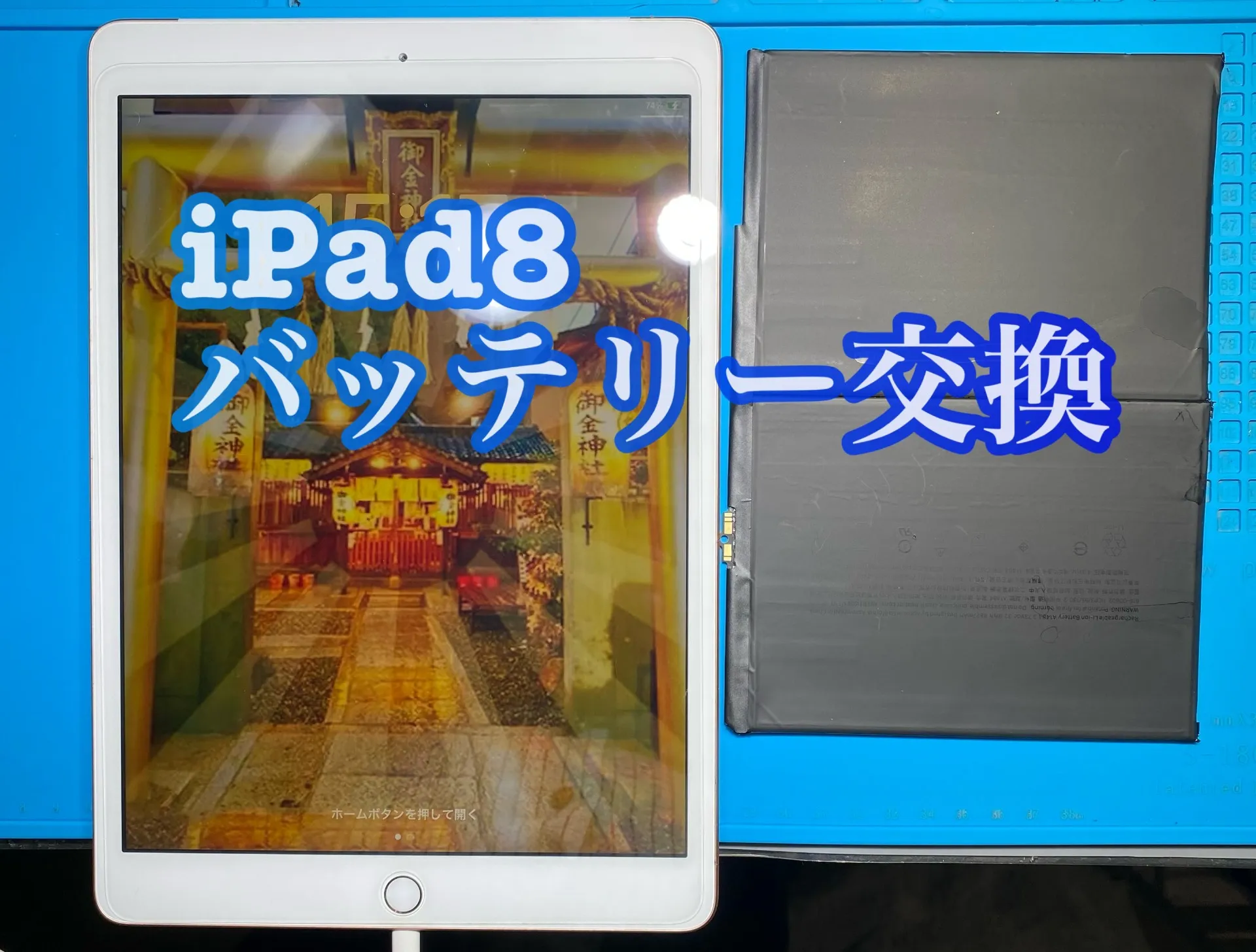 iPhone・iPad修理フォンドクターグループ　宮崎店、名古屋駅前店、愛知知立店、魚津店、敦賀店、大阪門真店、岐阜土岐店