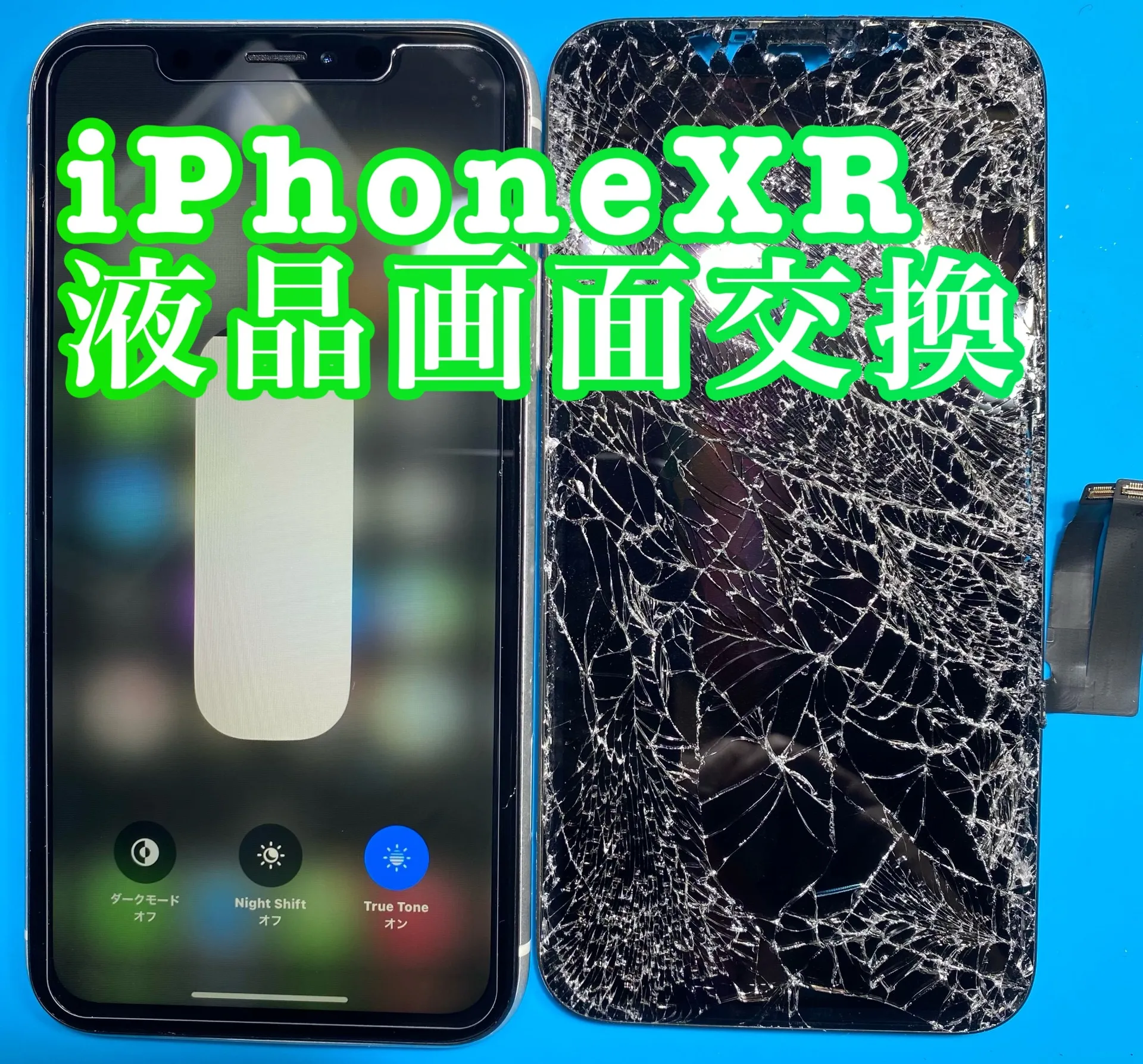 フォンドクターグループ　宮崎店、名古屋駅前店、愛知知立店、魚津店、敦賀店、大阪門真店、岐阜土岐店