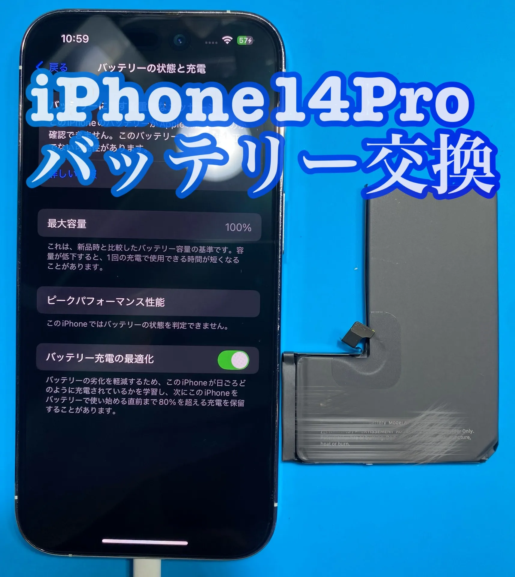 フォンドクターグループ　宮崎店、名古屋駅前店、愛知知立店、魚津店、敦賀店、大阪門真店、岐阜土岐店