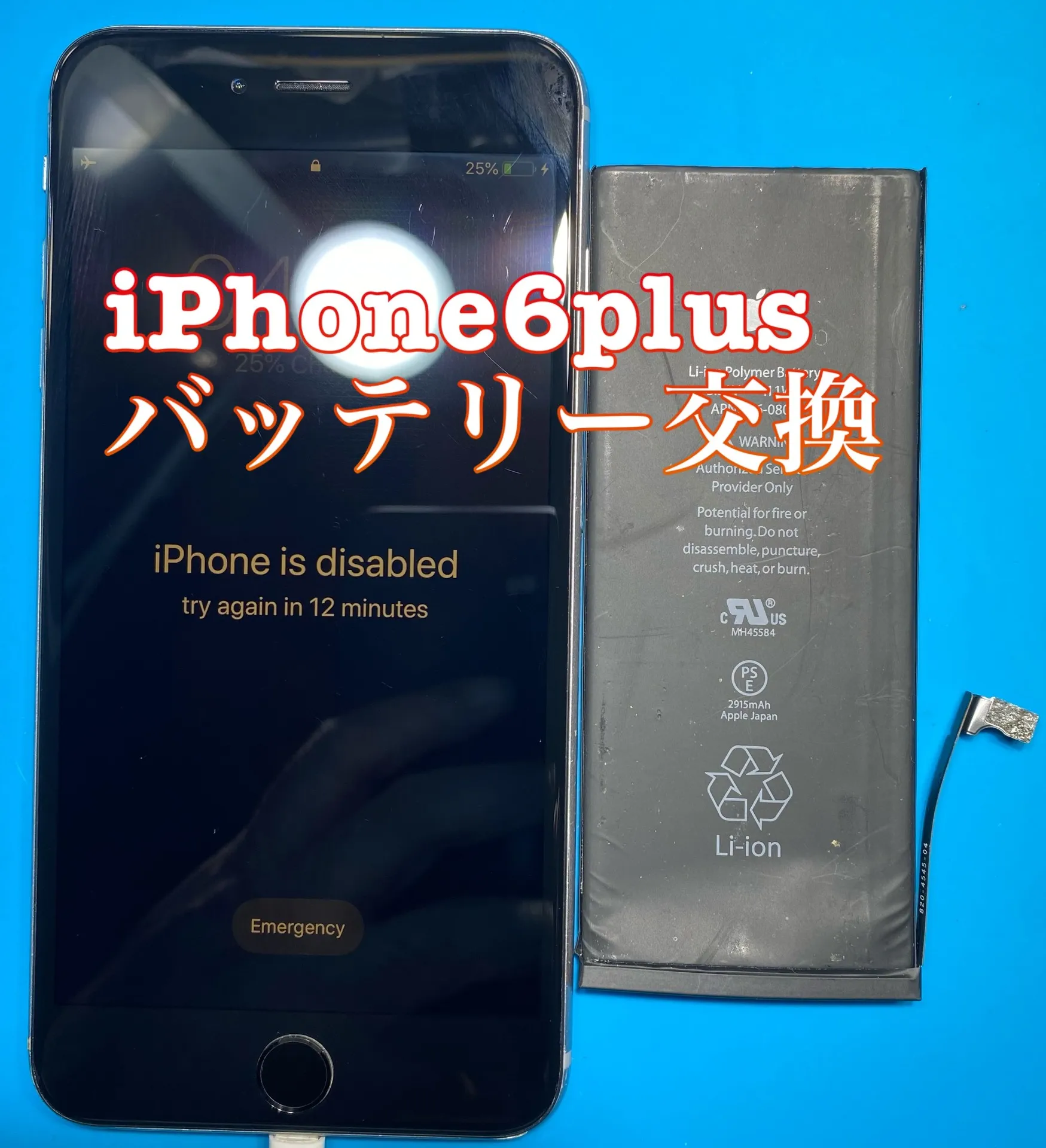 フォンドクターグループ　宮崎店、名古屋駅前店、愛知知立店、魚津店、敦賀店、大阪門真店、岐阜土岐店