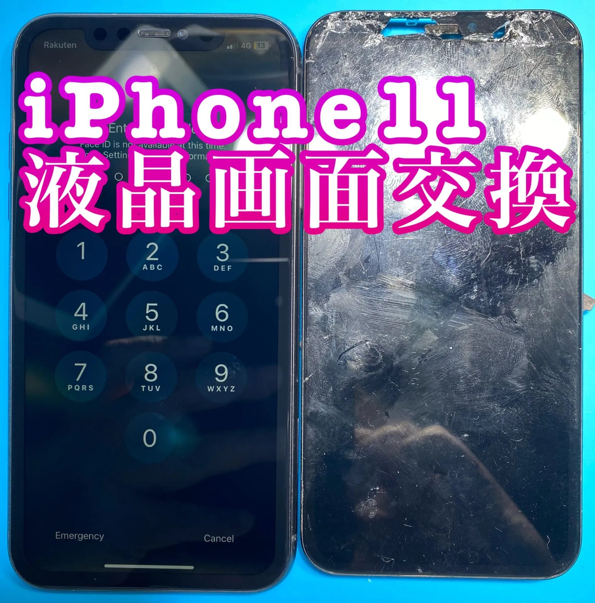 フォンドクターグループ　宮崎店、名古屋駅前店、愛知知立店、魚津店、敦賀店、大阪門真店、岐阜土岐店