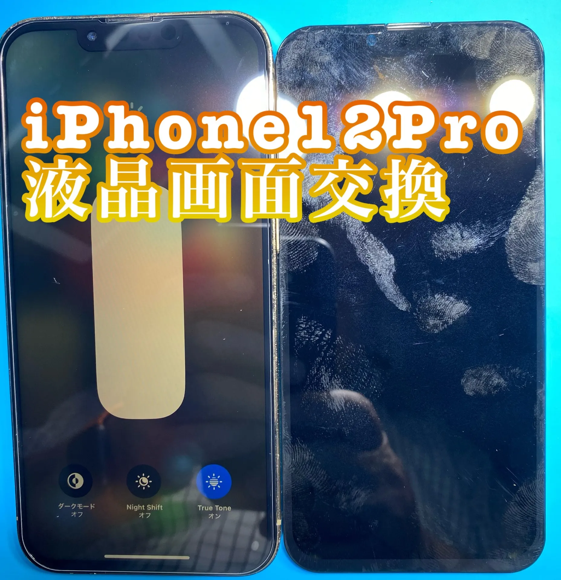 iPhone・iPad修理フォンドクターグループ　宮崎店、名古屋駅前店、愛知知立店、魚津店、敦賀店、大阪門真店、岐阜土岐店
