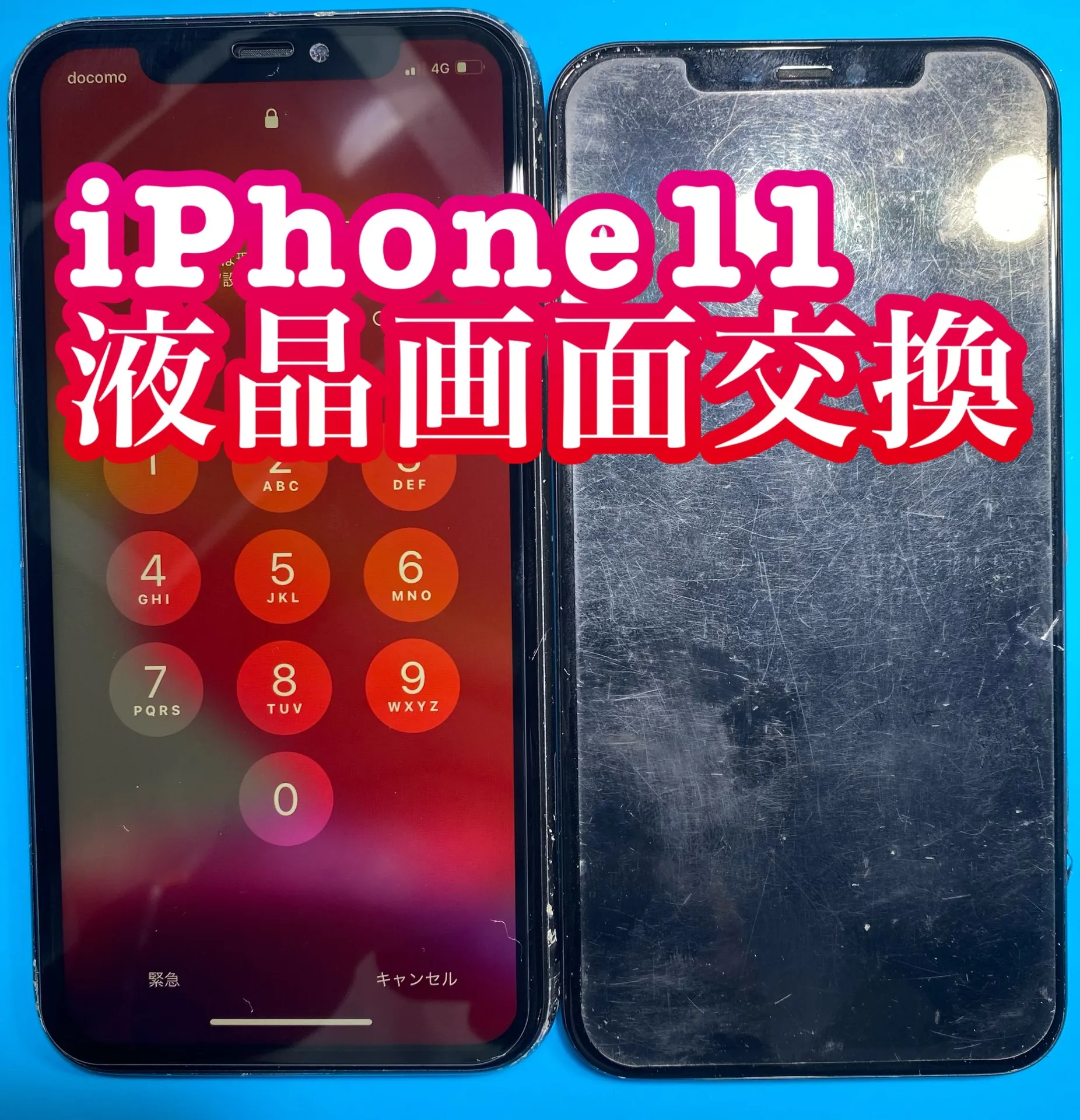 フォンドクターグループ　宮崎店、名古屋駅前店、愛知知立店、魚津店、敦賀店、大阪門真店、岐阜土岐店