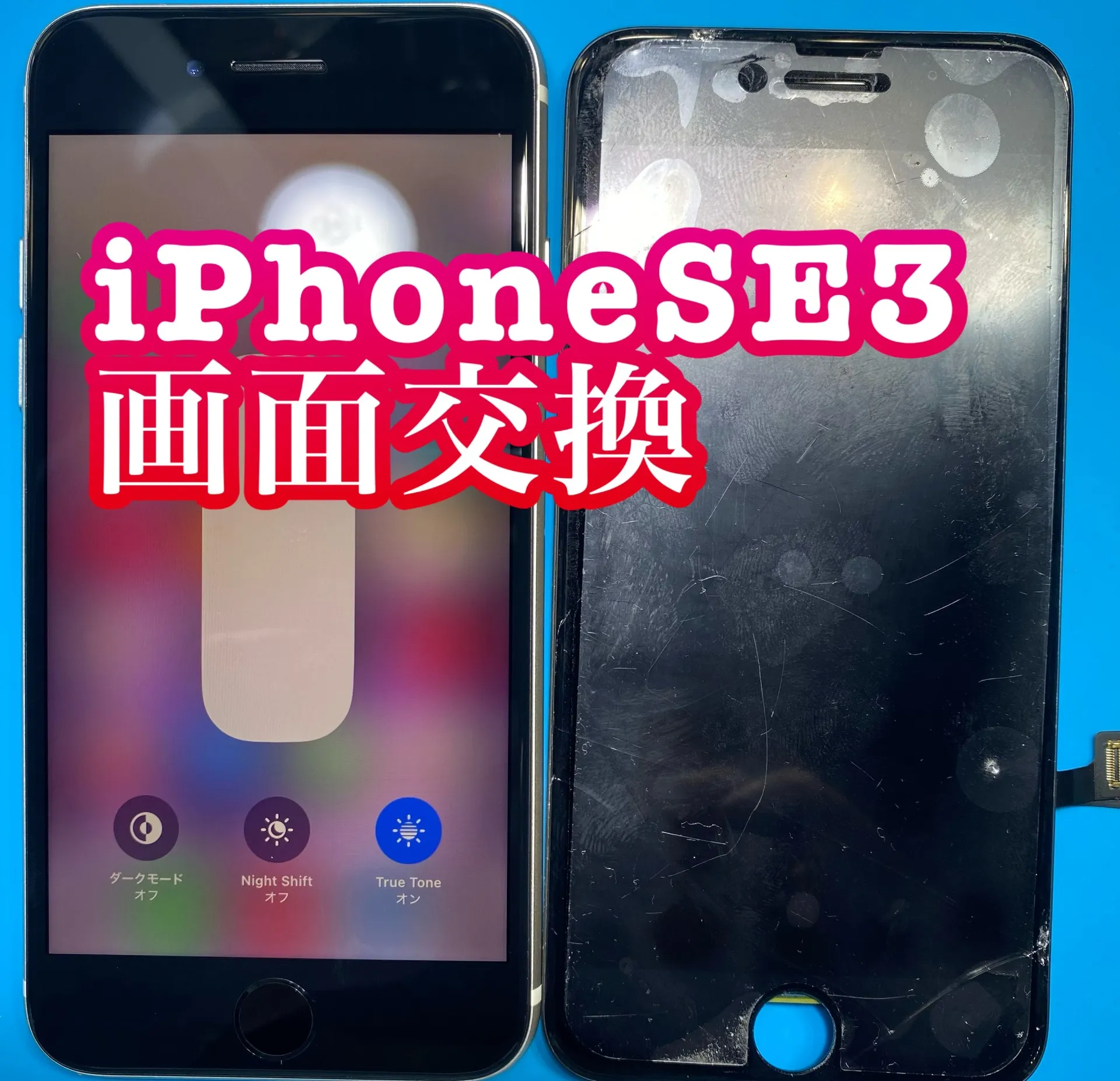 iPhone・iPad修理フォンドクターグループ　宮崎店、名古屋駅前店、愛知知立店、魚津店、敦賀店、大阪門真店、岐阜土岐店