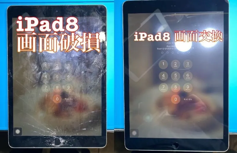 フォンドクターグループ　宮崎店、名古屋駅前店、愛知知立店、魚津店、敦賀店、大阪門真店、岐阜土岐店