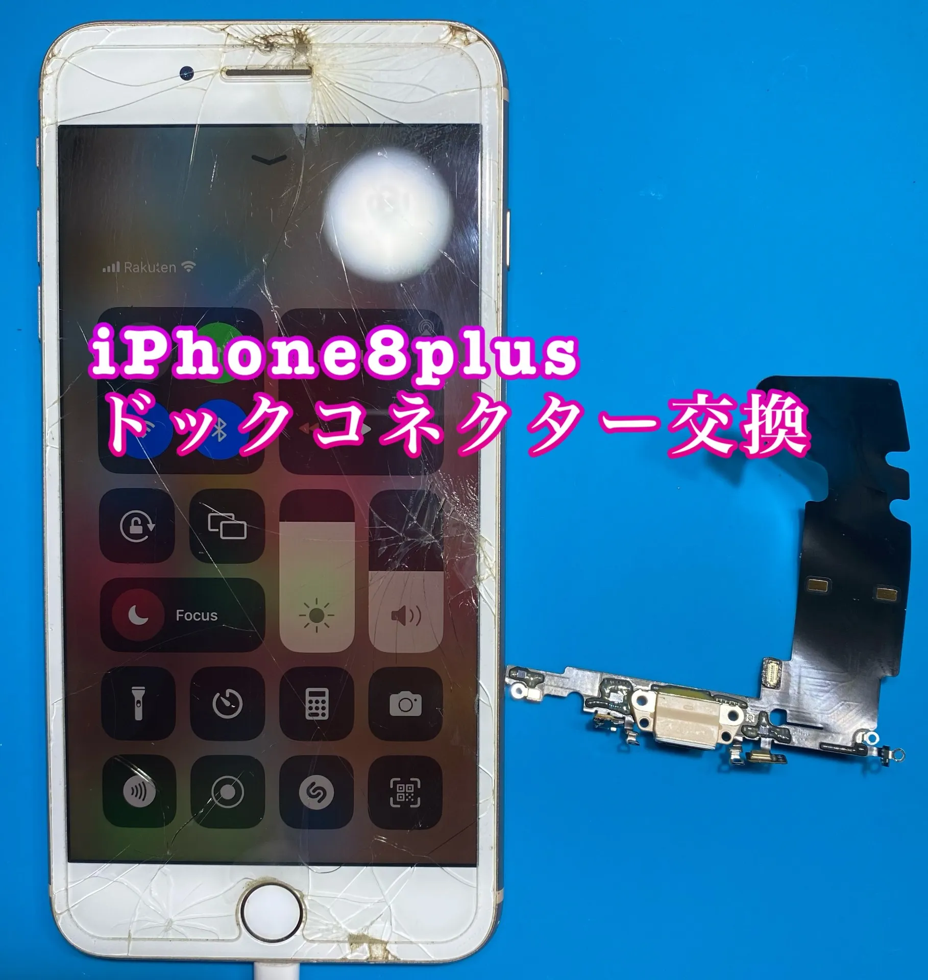 iPhone・iPad修理フォンドクターグループ　宮崎店、名古屋駅前店、愛知知立店、魚津店、敦賀店、大阪門真店、岐阜土岐店