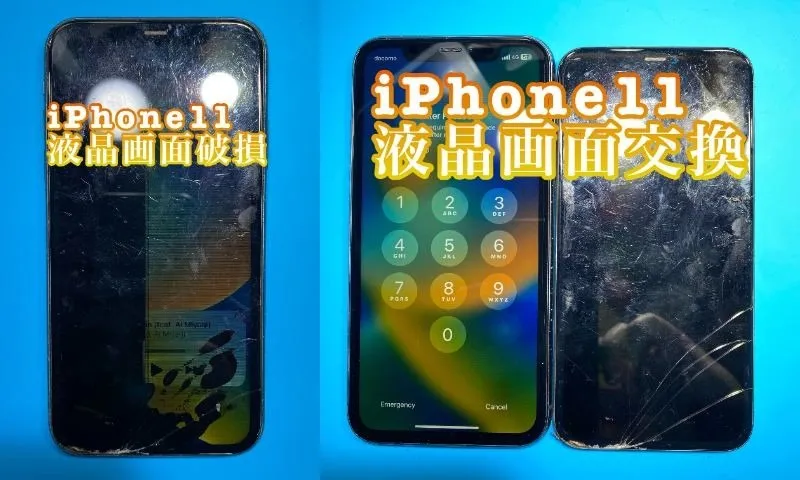 フォンドクターグループ　宮崎店、名古屋駅前店、愛知知立店、魚津店、敦賀店、大阪門真店、岐阜土岐店