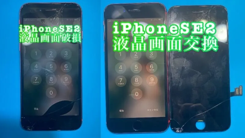 フォンドクターグループ　宮崎店、名古屋駅前店、愛知知立店、魚津店、敦賀店、大阪門真店、岐阜土岐店