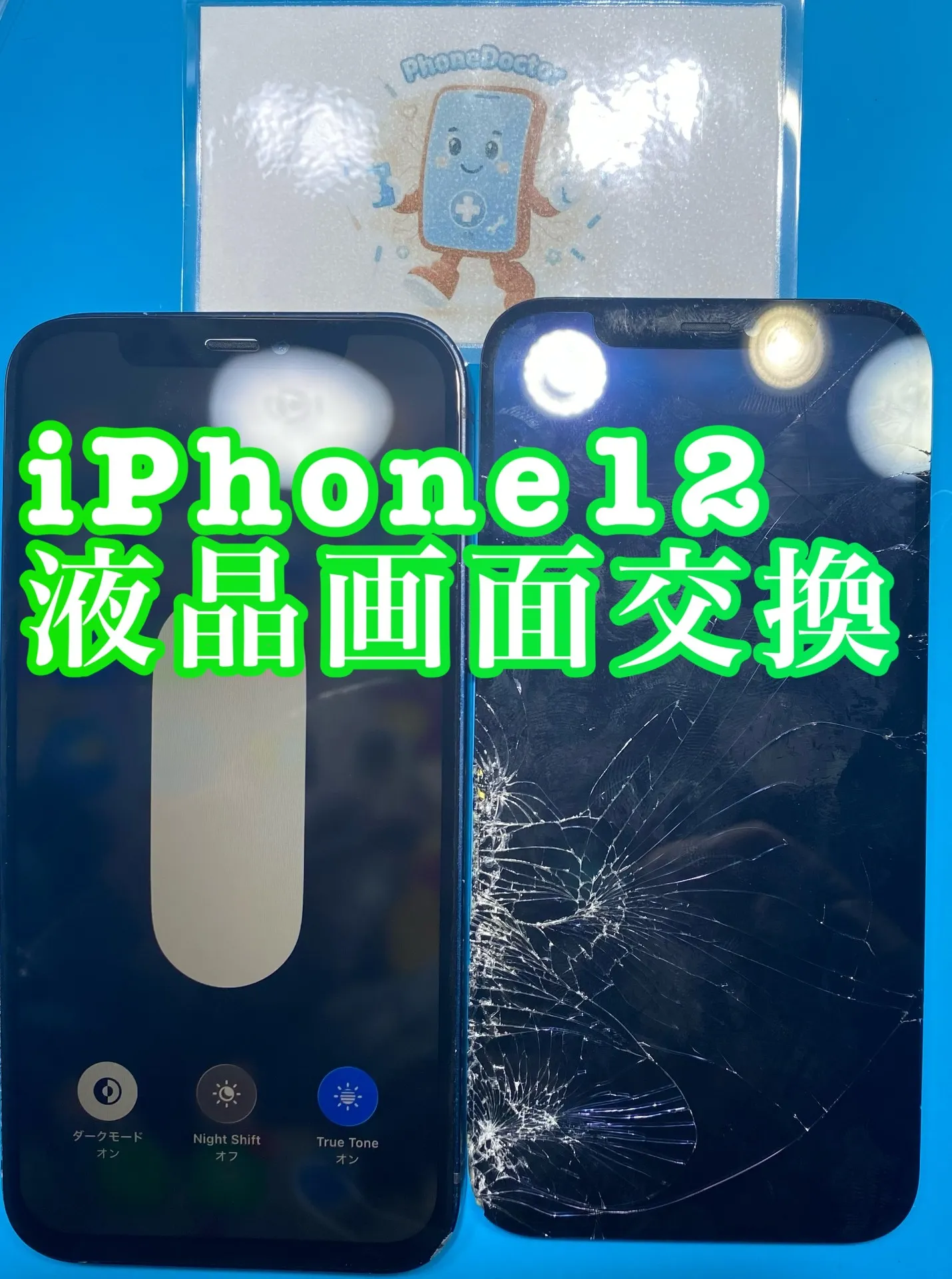 フォンドクターグループ　宮崎店、名古屋駅前店、愛知知立店、魚津店、敦賀店、大阪門真店、岐阜土岐店