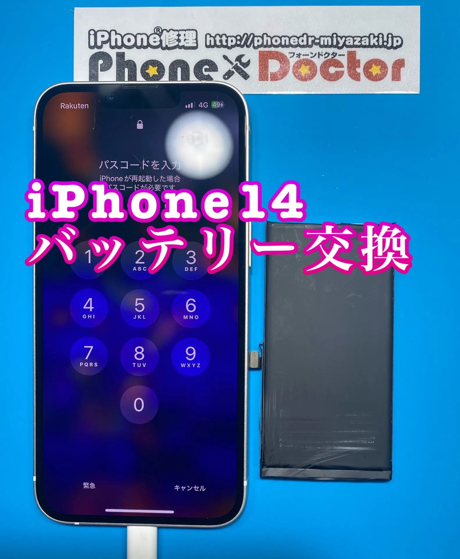 フォンドクターグループ　宮崎店、名古屋駅前店、愛知知立店、魚津店、敦賀店、大阪門真店、岐阜土岐店