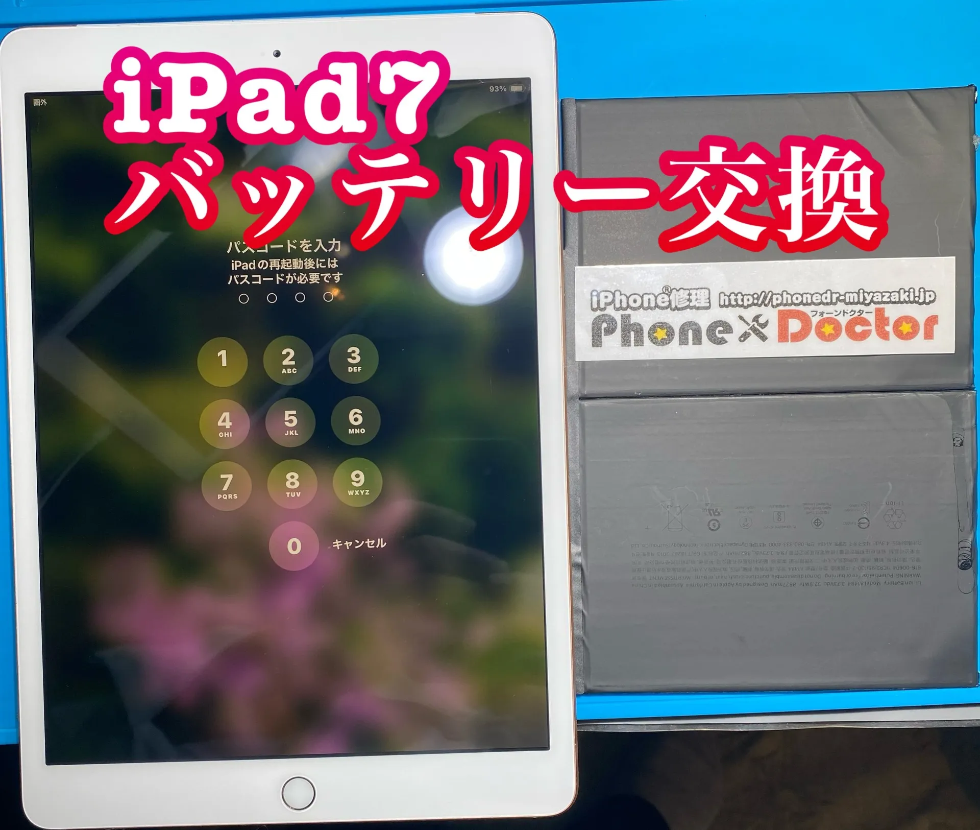 フォンドクターグループ　宮崎店、名古屋駅前店、愛知知立店、魚津店、敦賀店、大阪門真店、岐阜土岐店