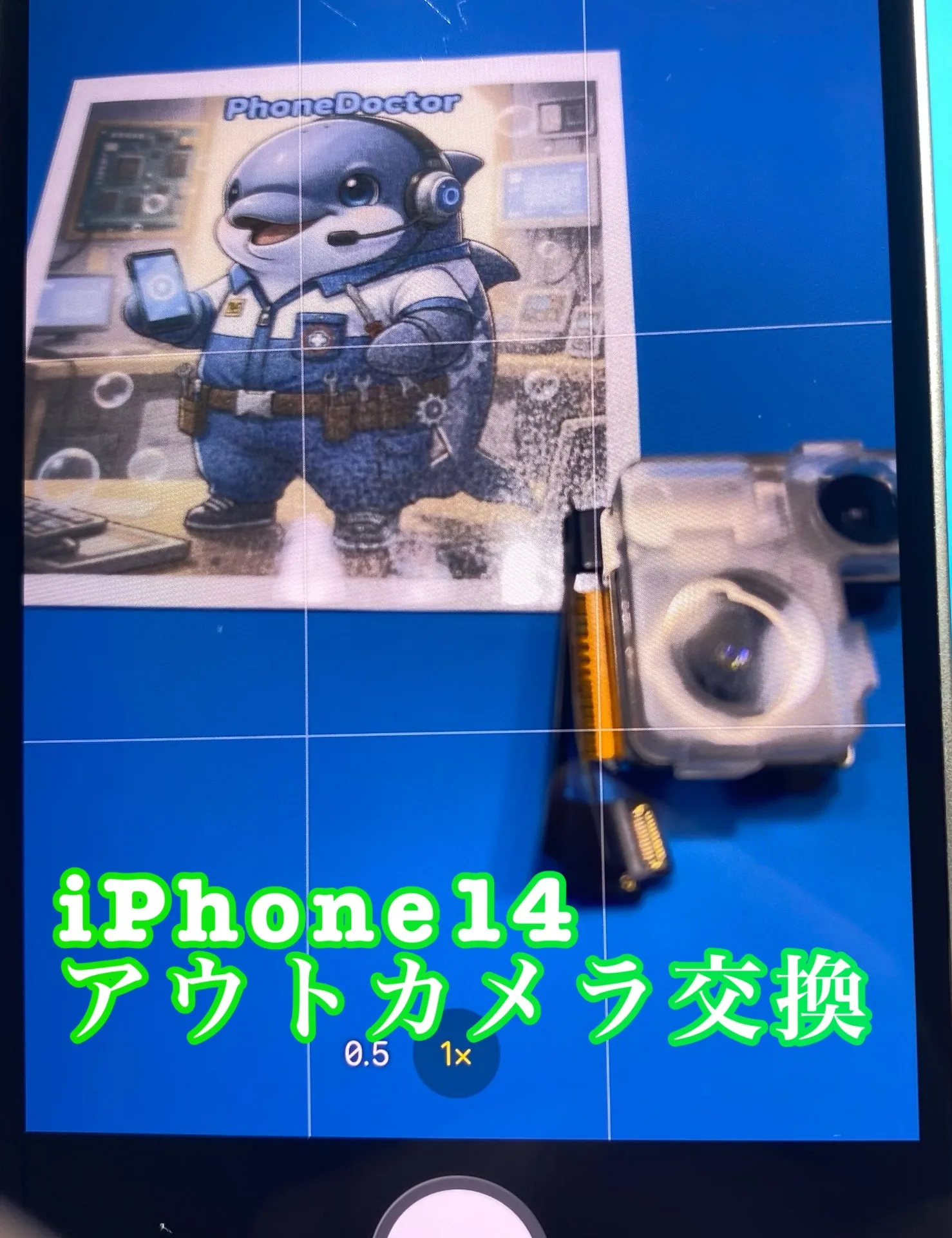 iPhone・iPad修理フォンドクターグループ　宮崎店、名古屋駅前店、愛知知立店、魚津店、敦賀店、大阪門真店、岐阜土岐店