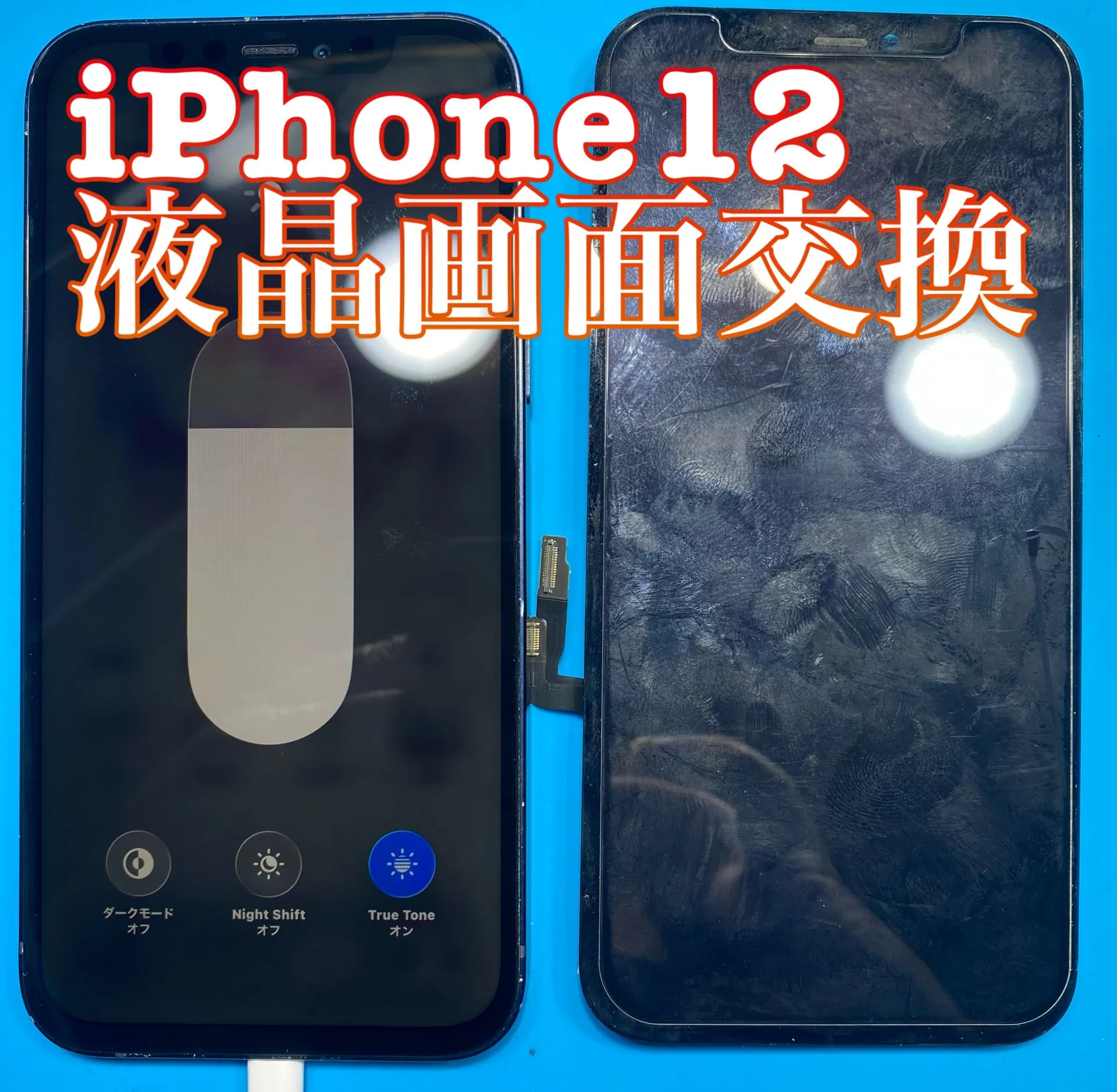 フォンドクターグループ　宮崎店、名古屋駅前店、愛知知立店、魚津店、敦賀店、大阪門真店、岐阜土岐店