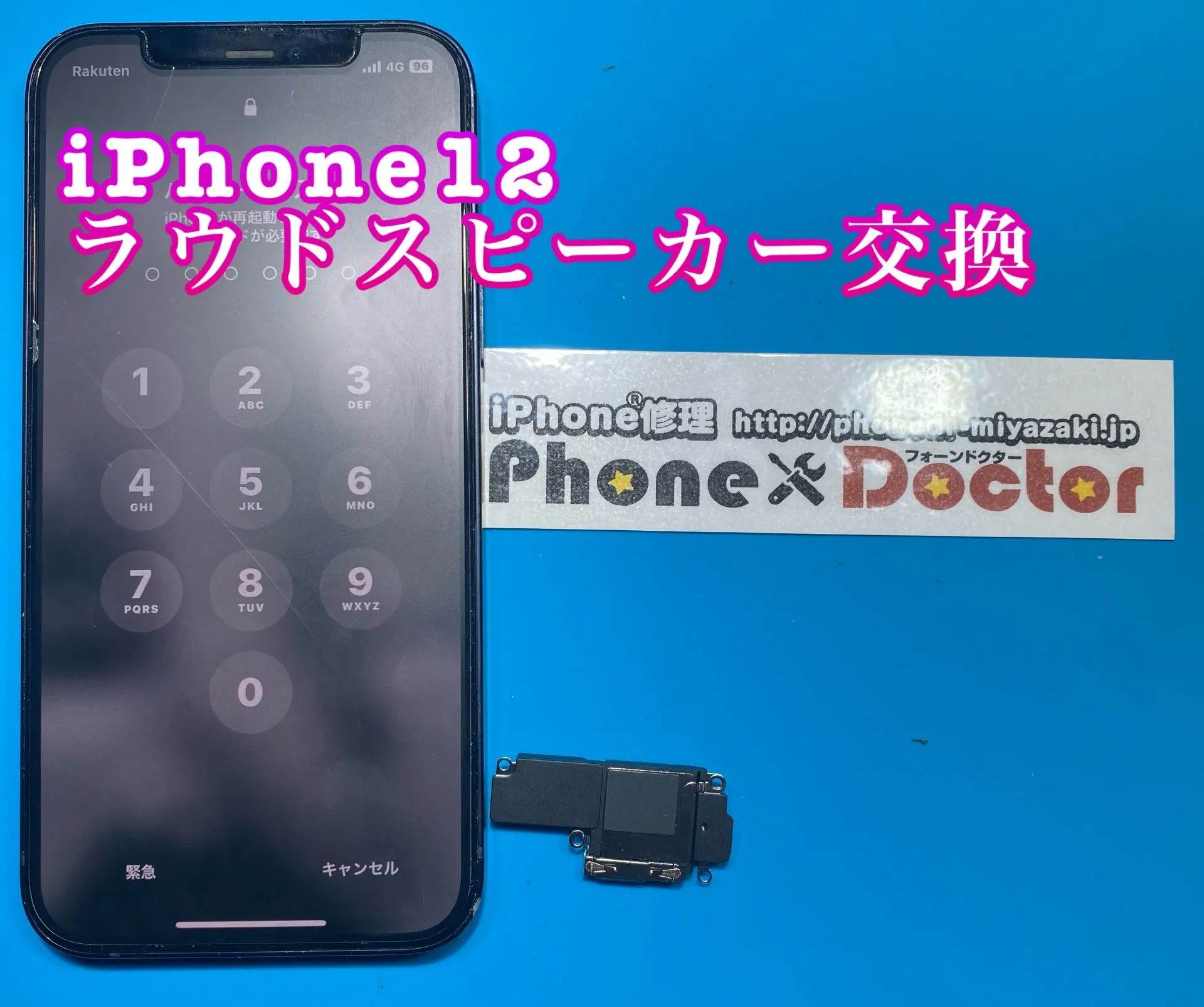 フォンドクターグループ　宮崎店、名古屋駅前店、愛知知立店、魚津店、敦賀店、大阪門真店、岐阜土岐店