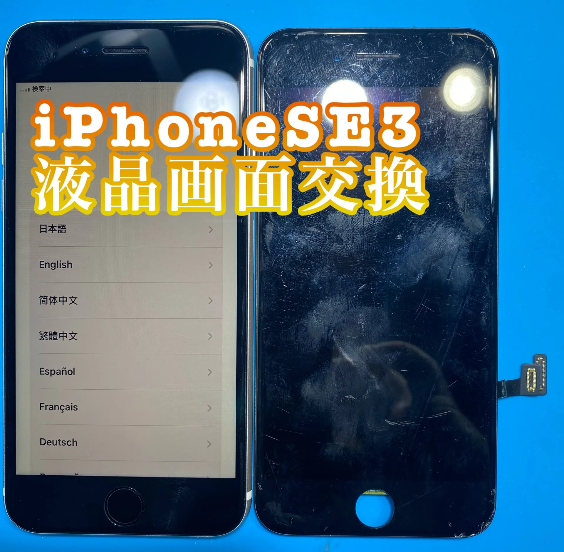 iPhone・iPad修理フォンドクターグループ　宮崎店、名古屋駅前店、愛知知立店、魚津店、敦賀店、大阪門真店、岐阜土岐店