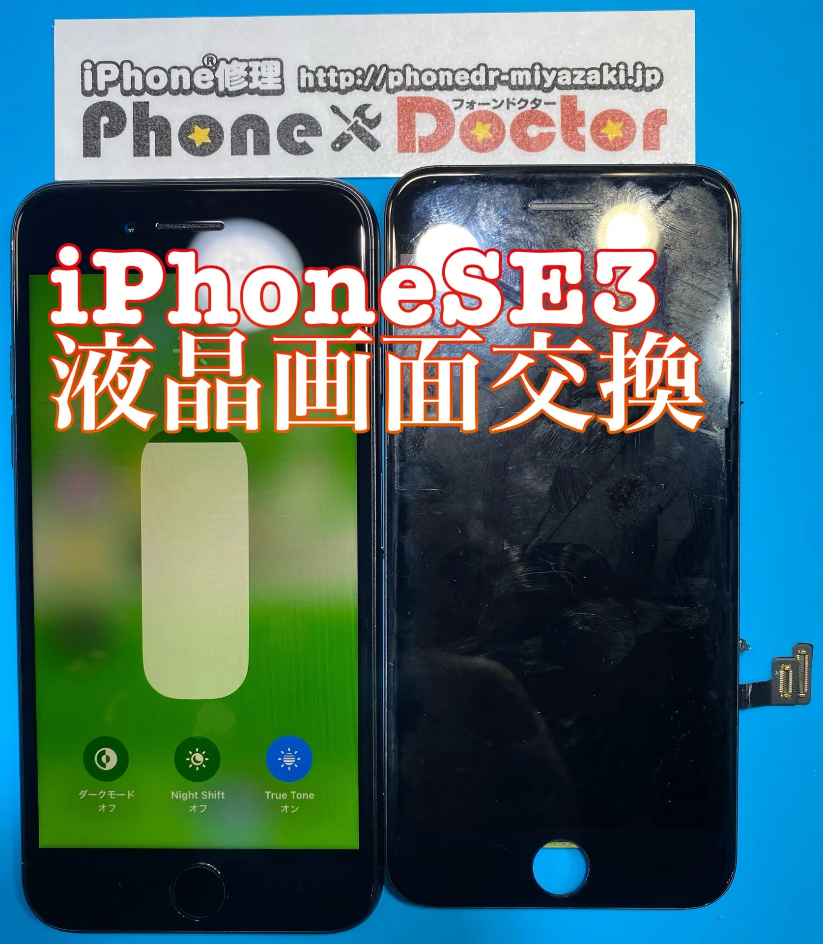 フォンドクターグループ　宮崎店、名古屋駅前店、愛知知立店、魚津店、敦賀店、大阪門真店、岐阜土岐店