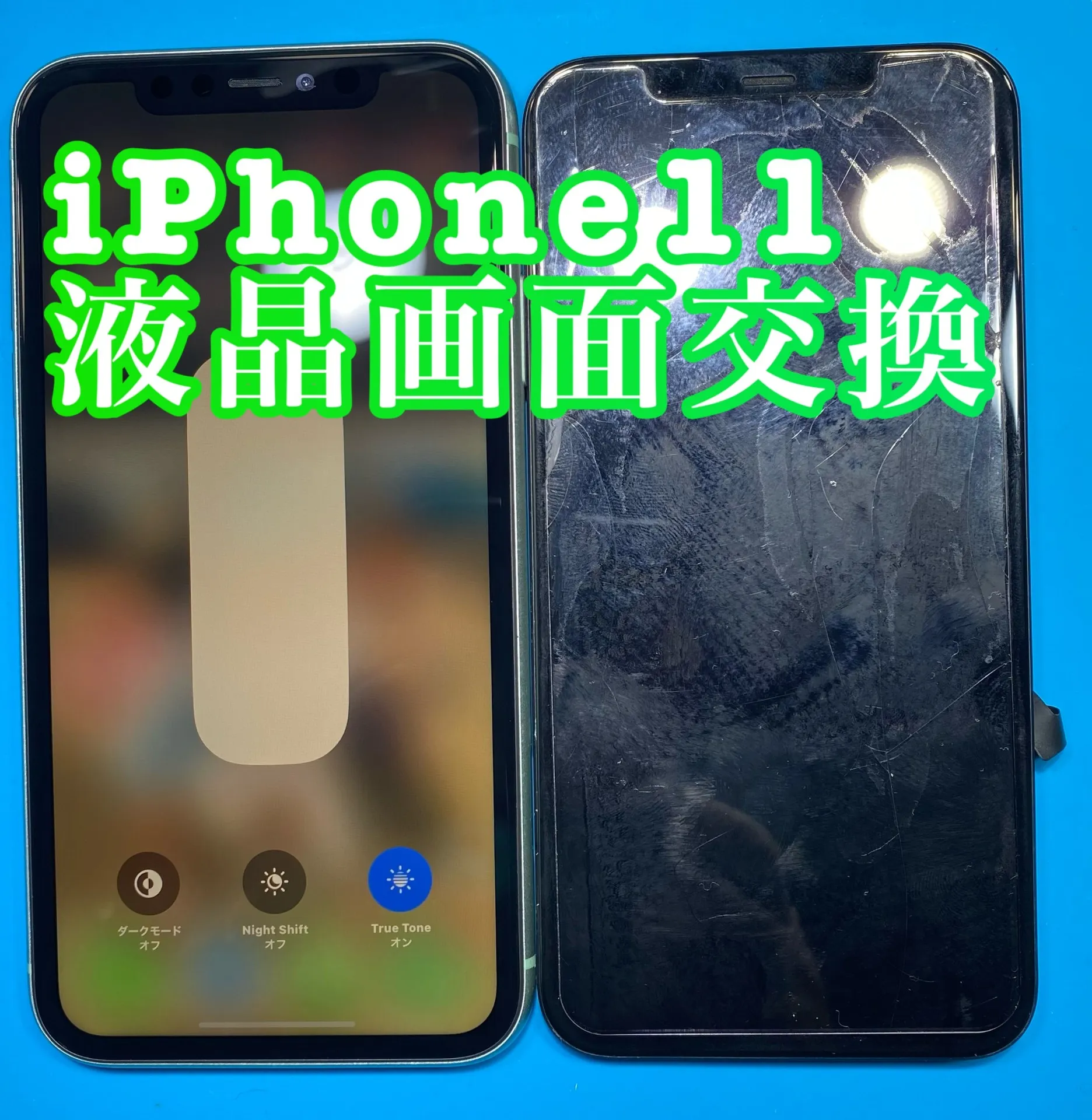 フォンドクターグループ　宮崎店、名古屋駅前店、愛知知立店、魚津店、敦賀店、大阪門真店、岐阜土岐店