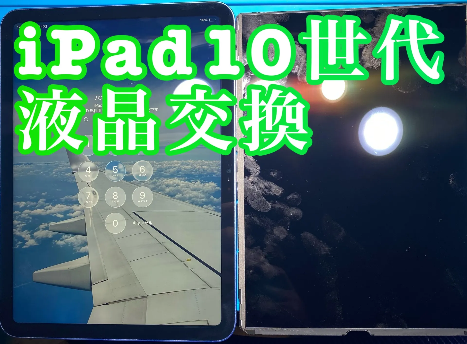 フォンドクターグループ　宮崎店、名古屋駅前店、愛知知立店、魚津店、敦賀店、大阪門真店、岐阜土岐店