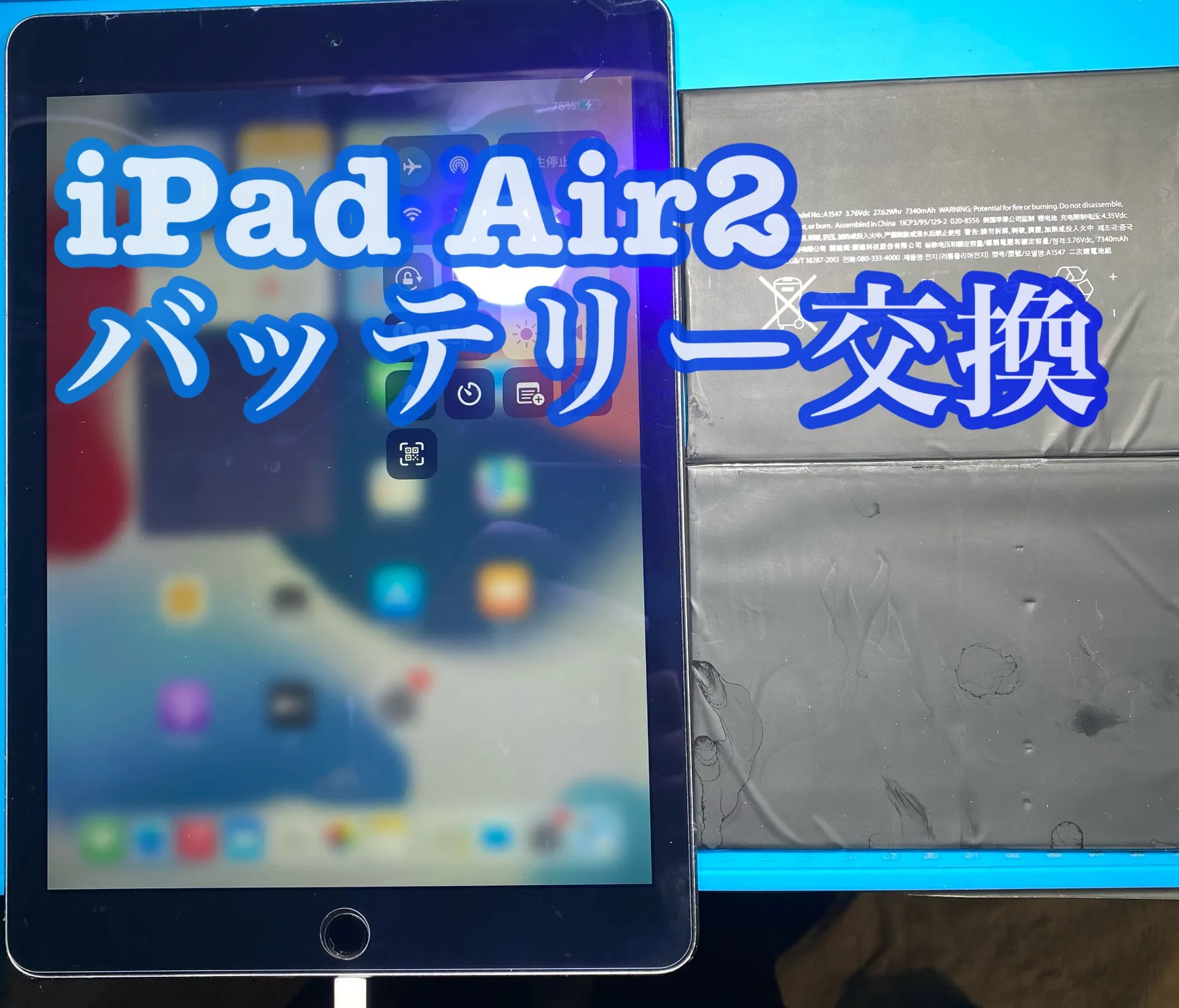 フォンドクターグループ　宮崎店、名古屋駅前店、愛知知立店、魚津店、敦賀店、大阪門真店、岐阜土岐店